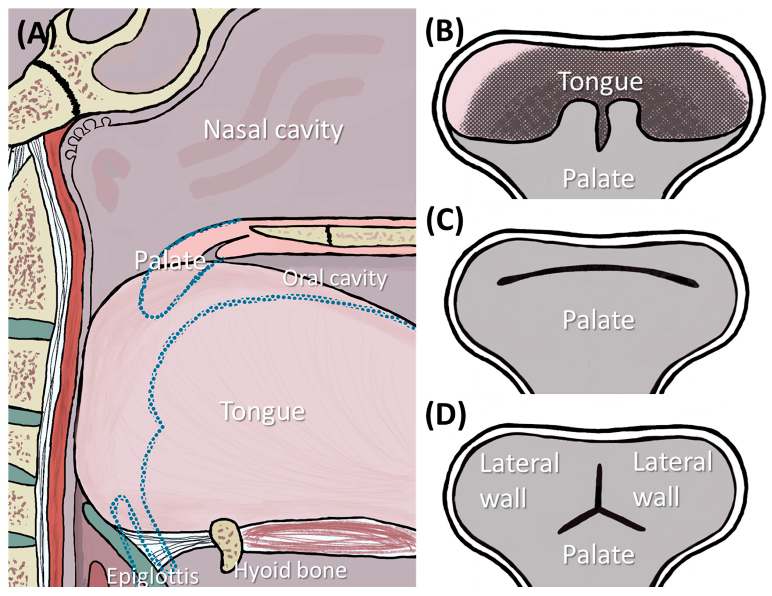 Bioengineering 12 01063 g026