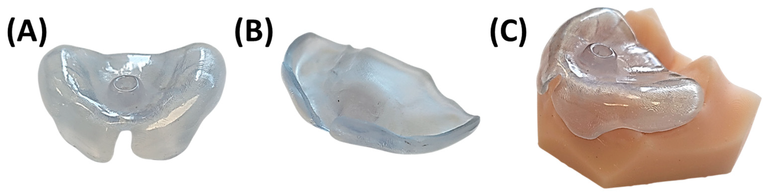 Bioengineering 12 01063 g030