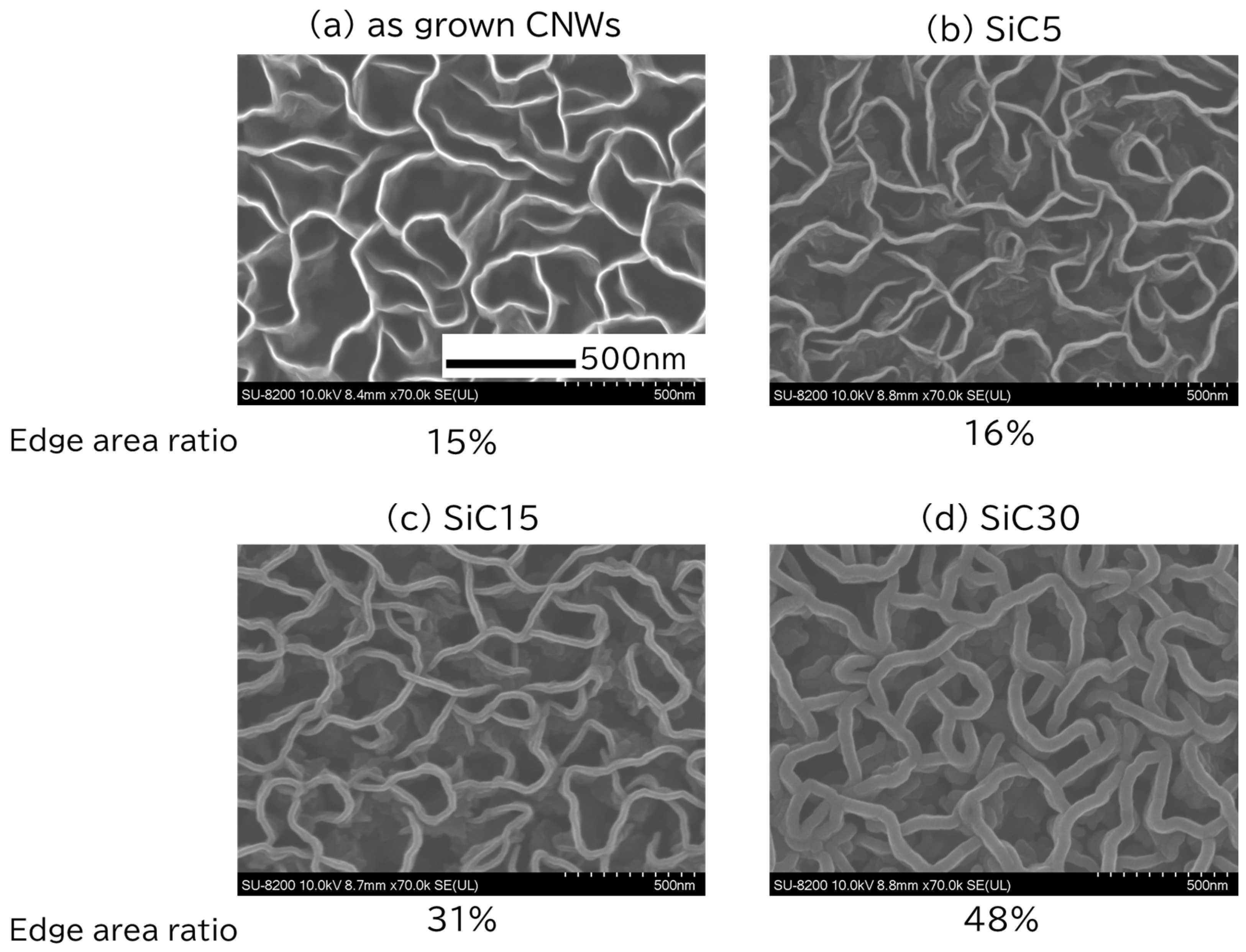 Bioengineering 12 01073 g002