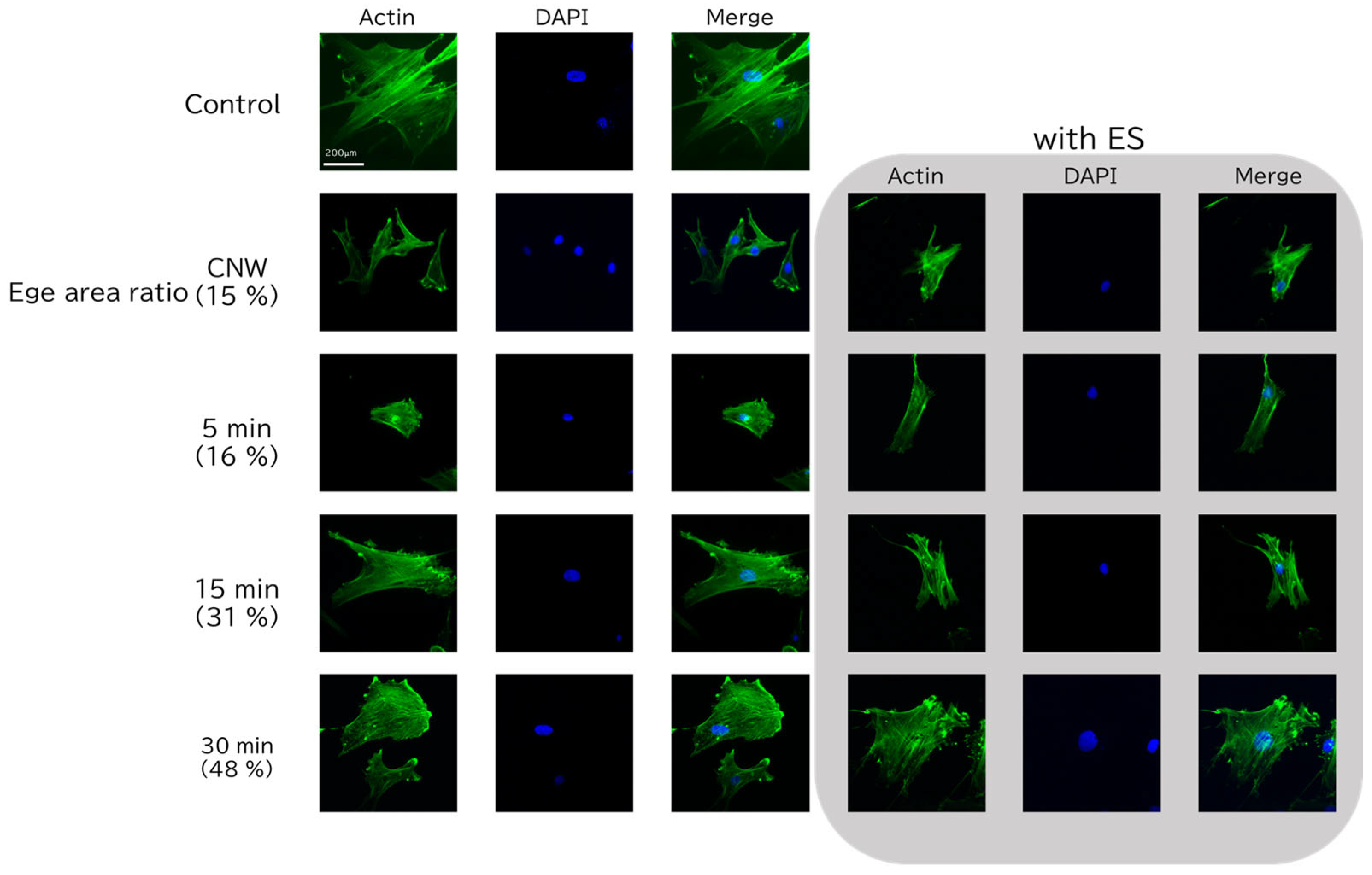 Bioengineering 12 01073 g003