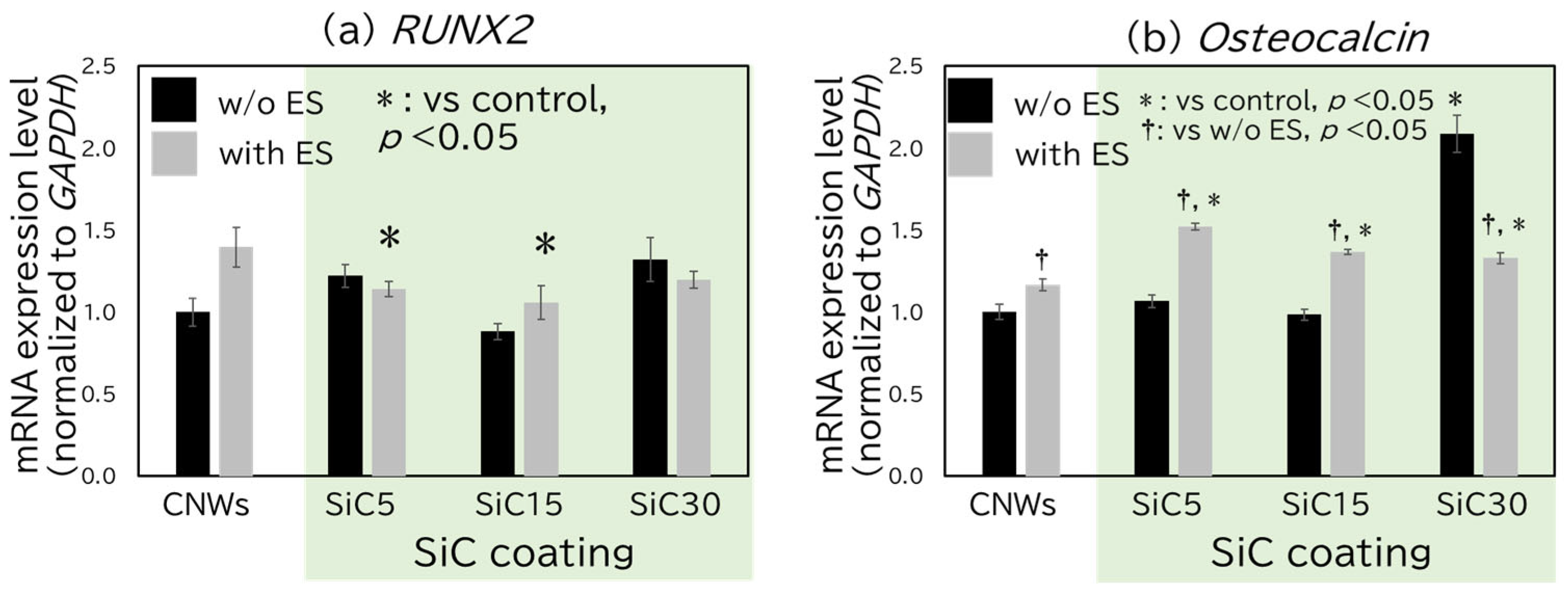 Bioengineering 12 01073 g005