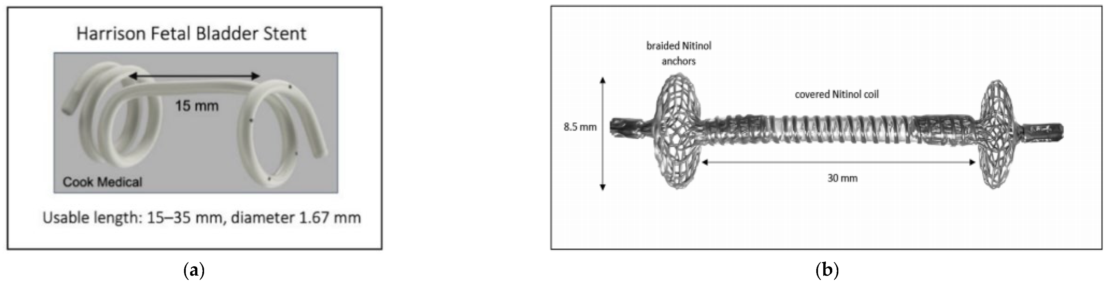 Bioengineering 12 01126 g001