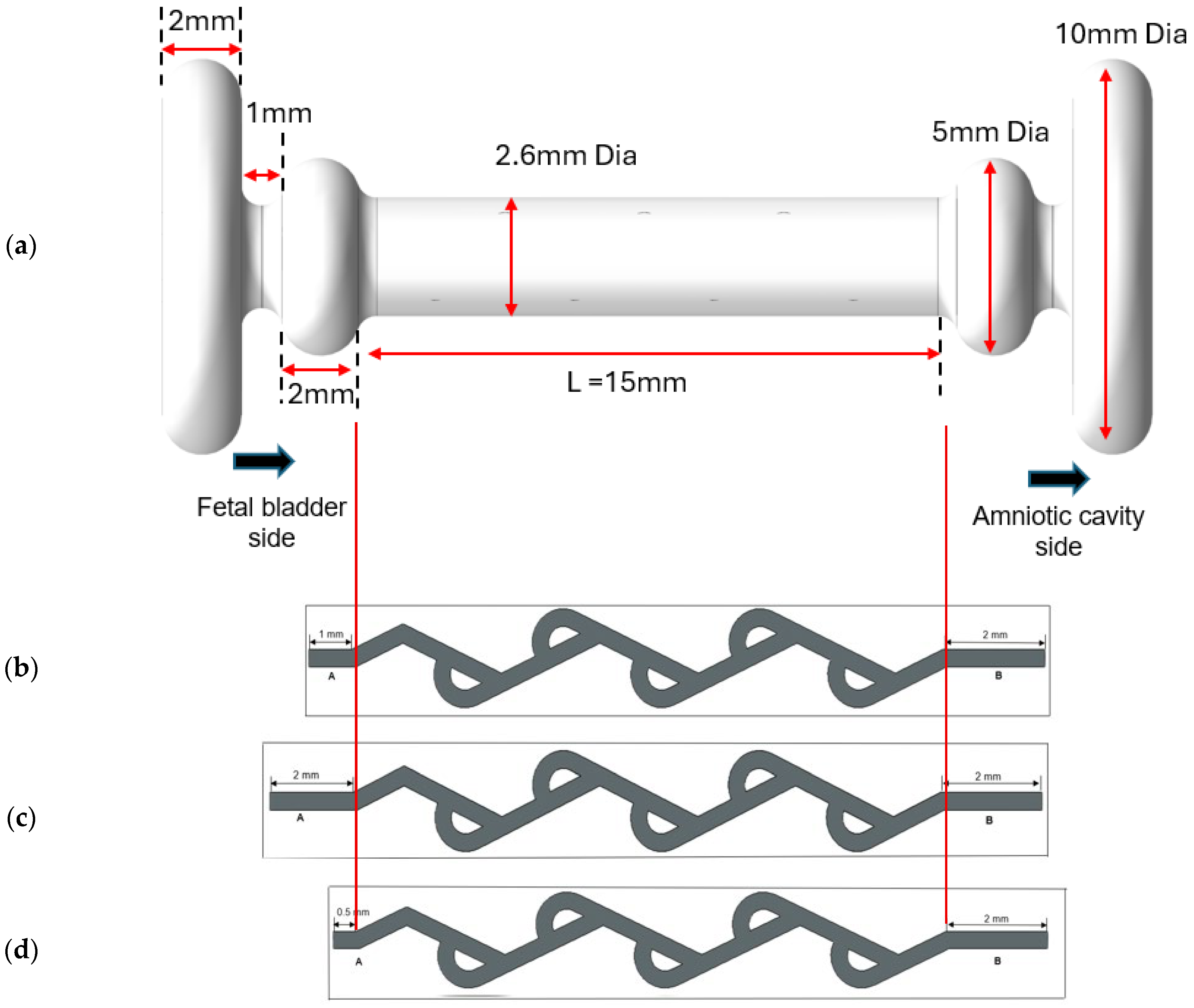 Bioengineering 12 01126 g005