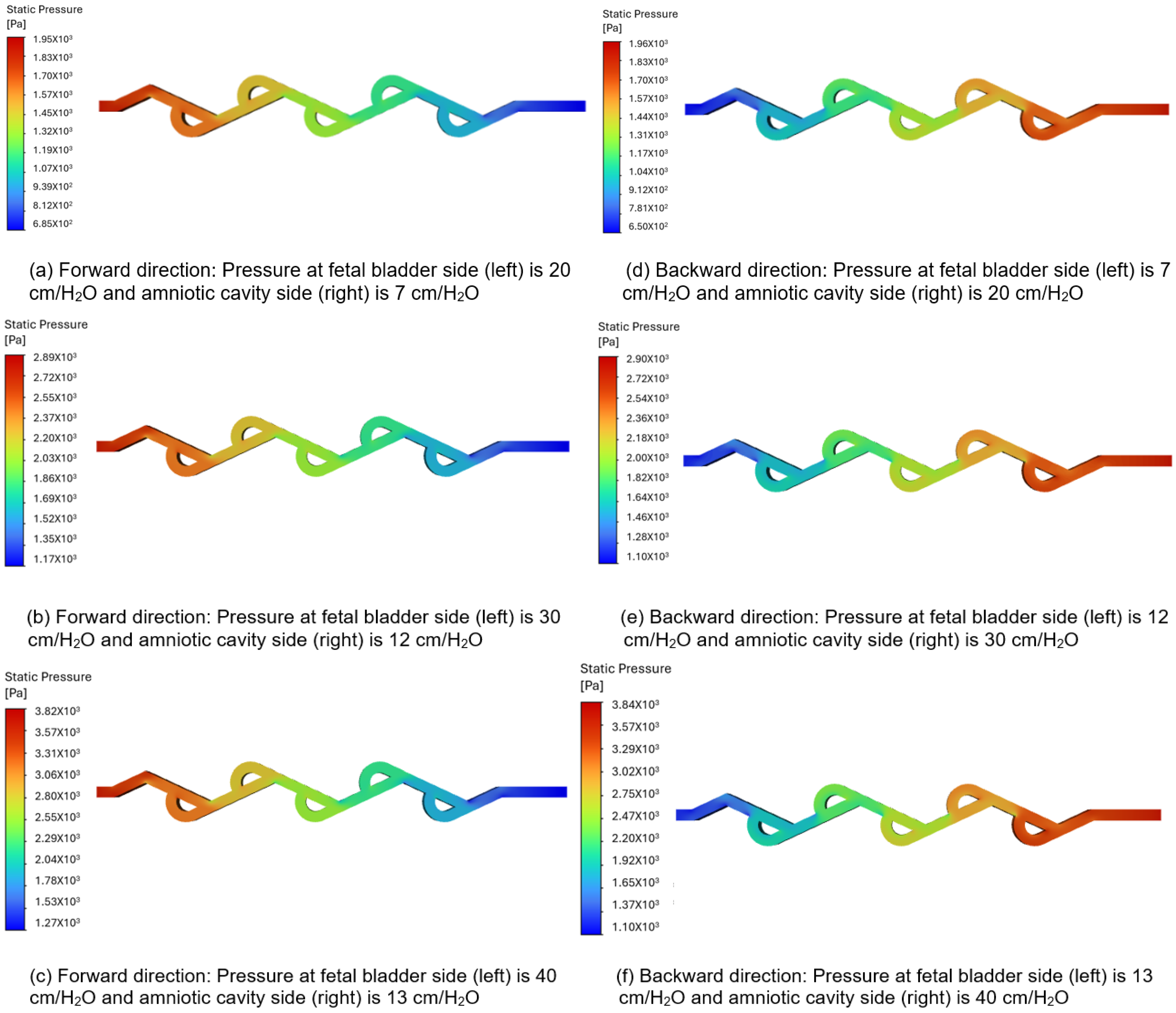 Bioengineering 12 01126 g008