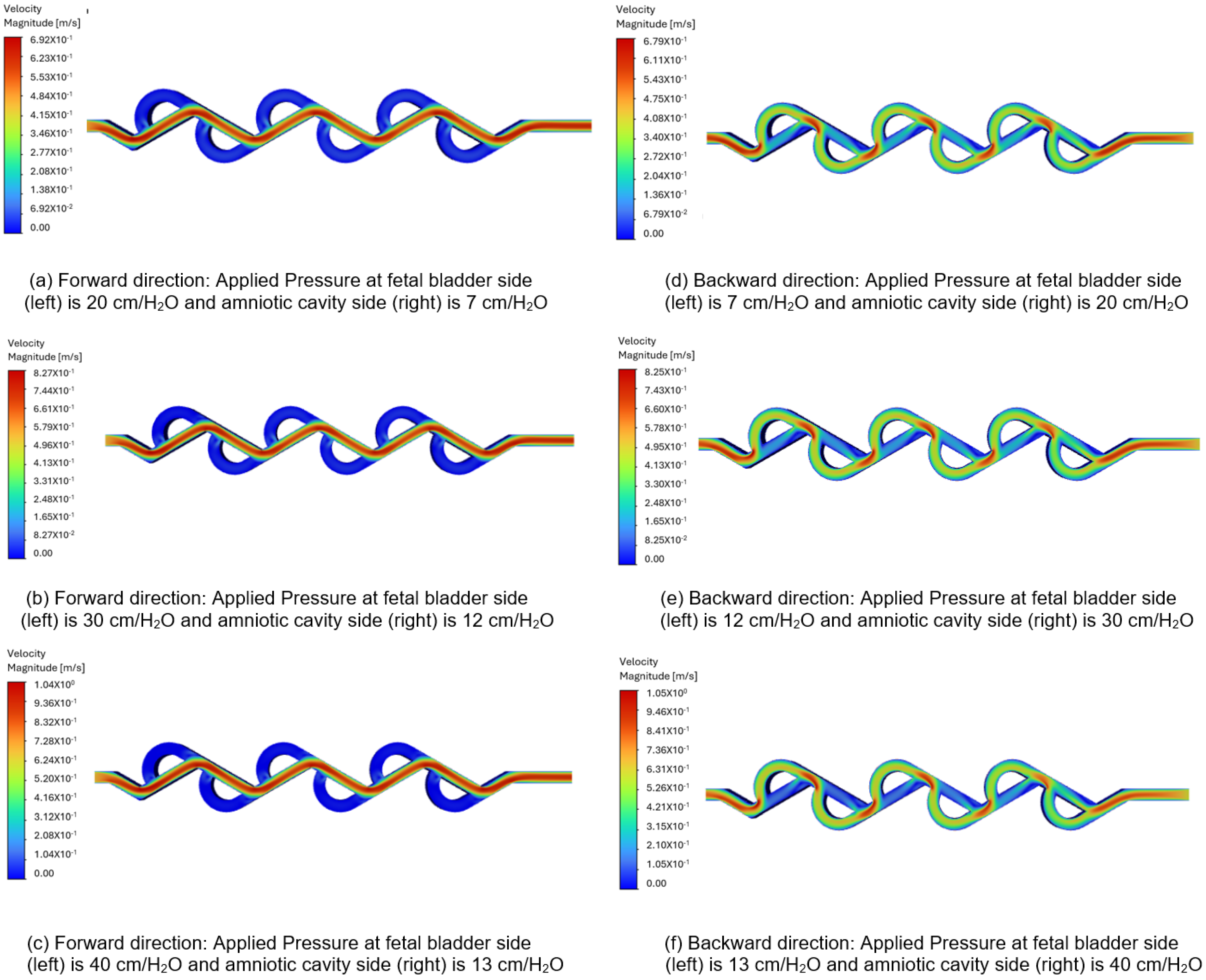 Bioengineering 12 01126 g011