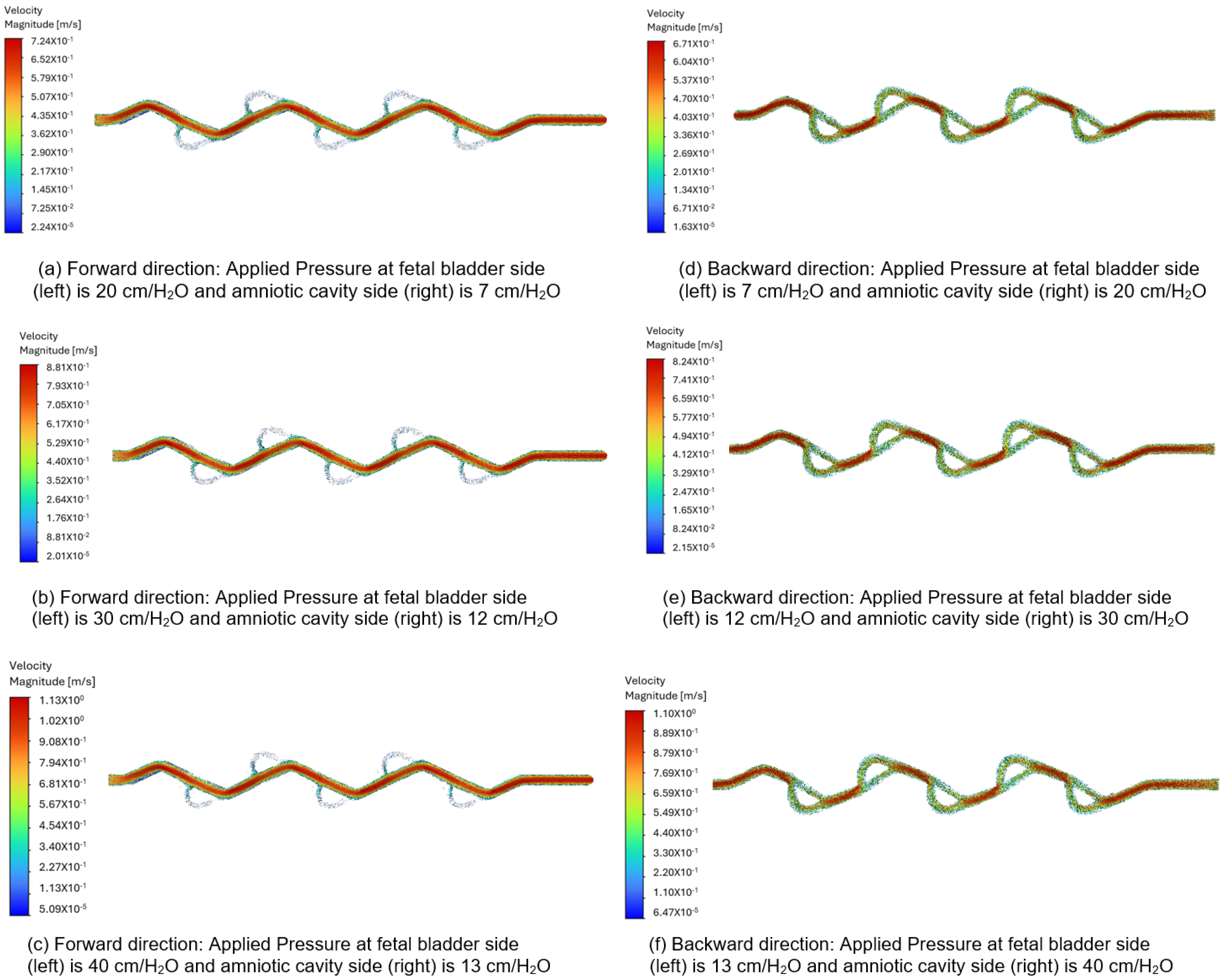 Bioengineering 12 01126 g012