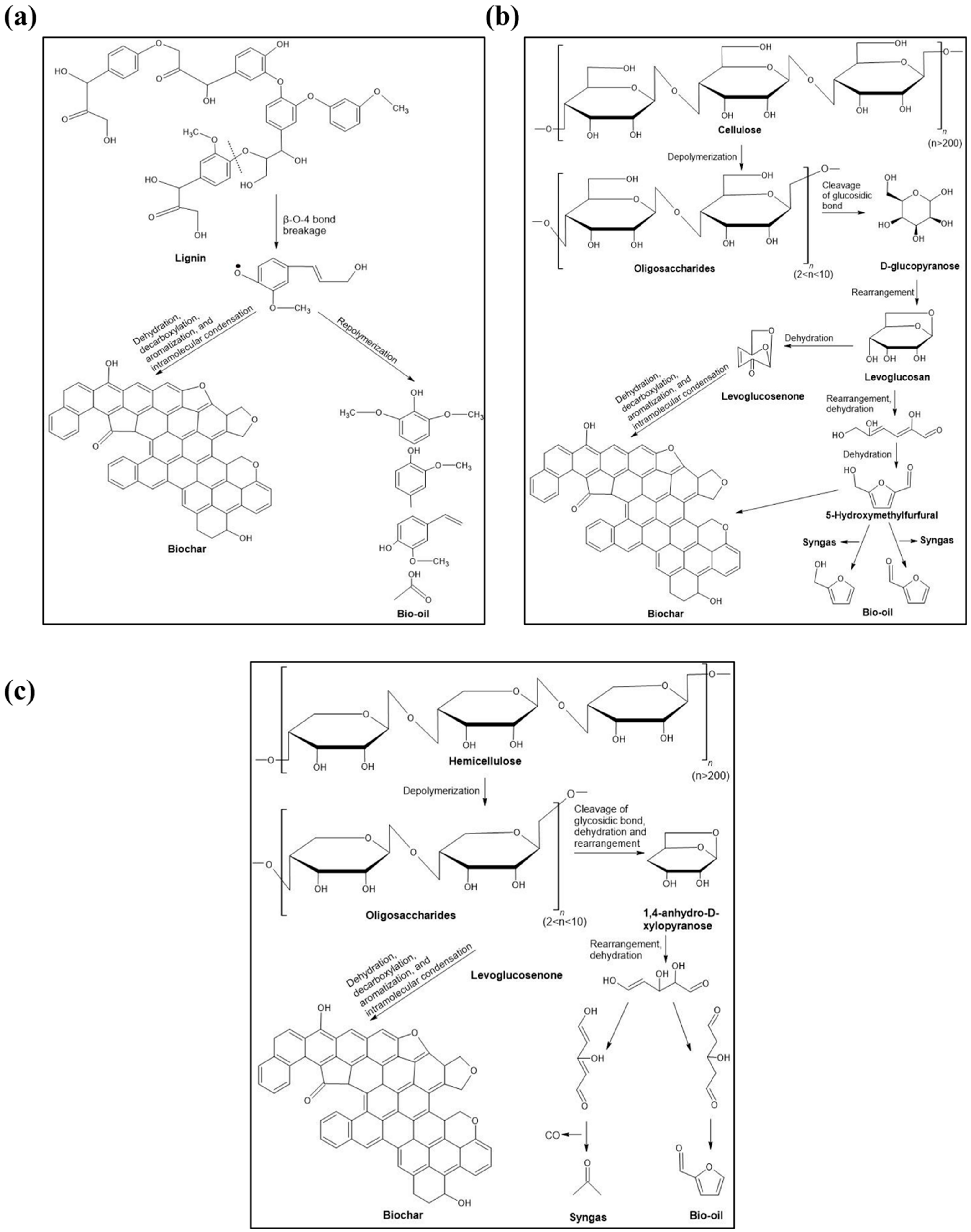 Bioengineering 12 01137 g001