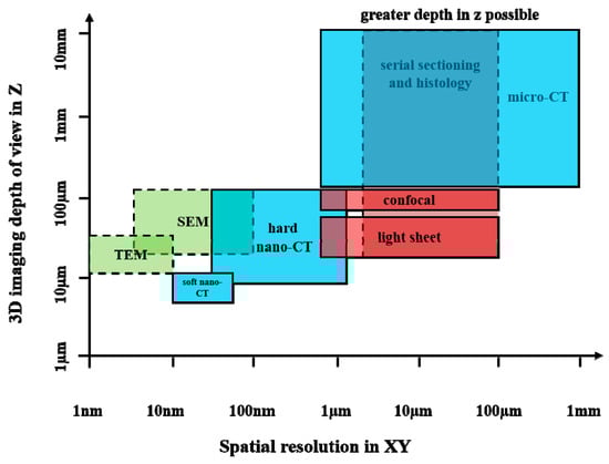 Bioengineering 12 01189 g001