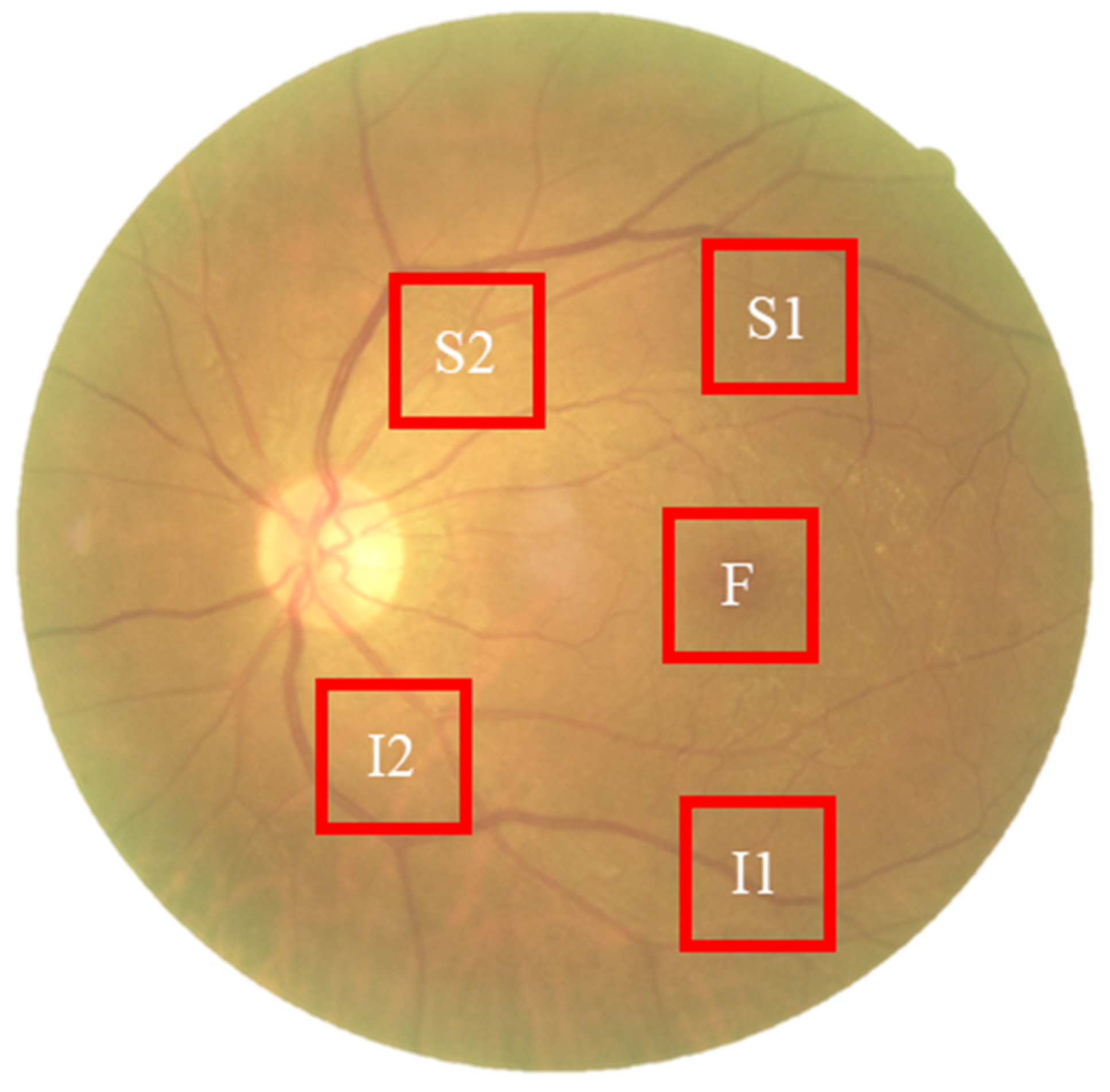 Bioengineering 12 01362 g003 Bioengineering 12 01362 g003