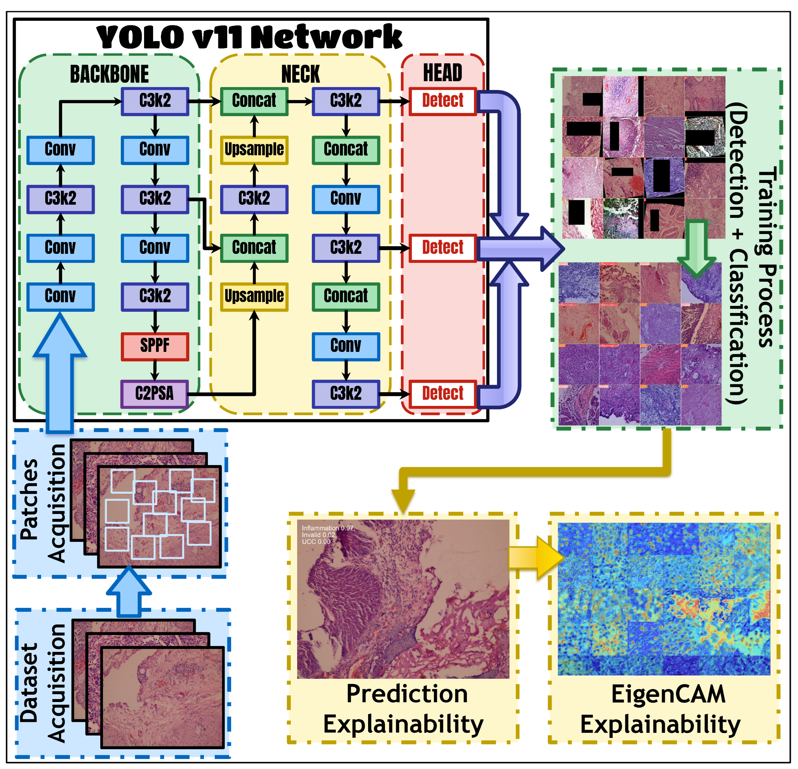 Bioengineering 13 00004 g001