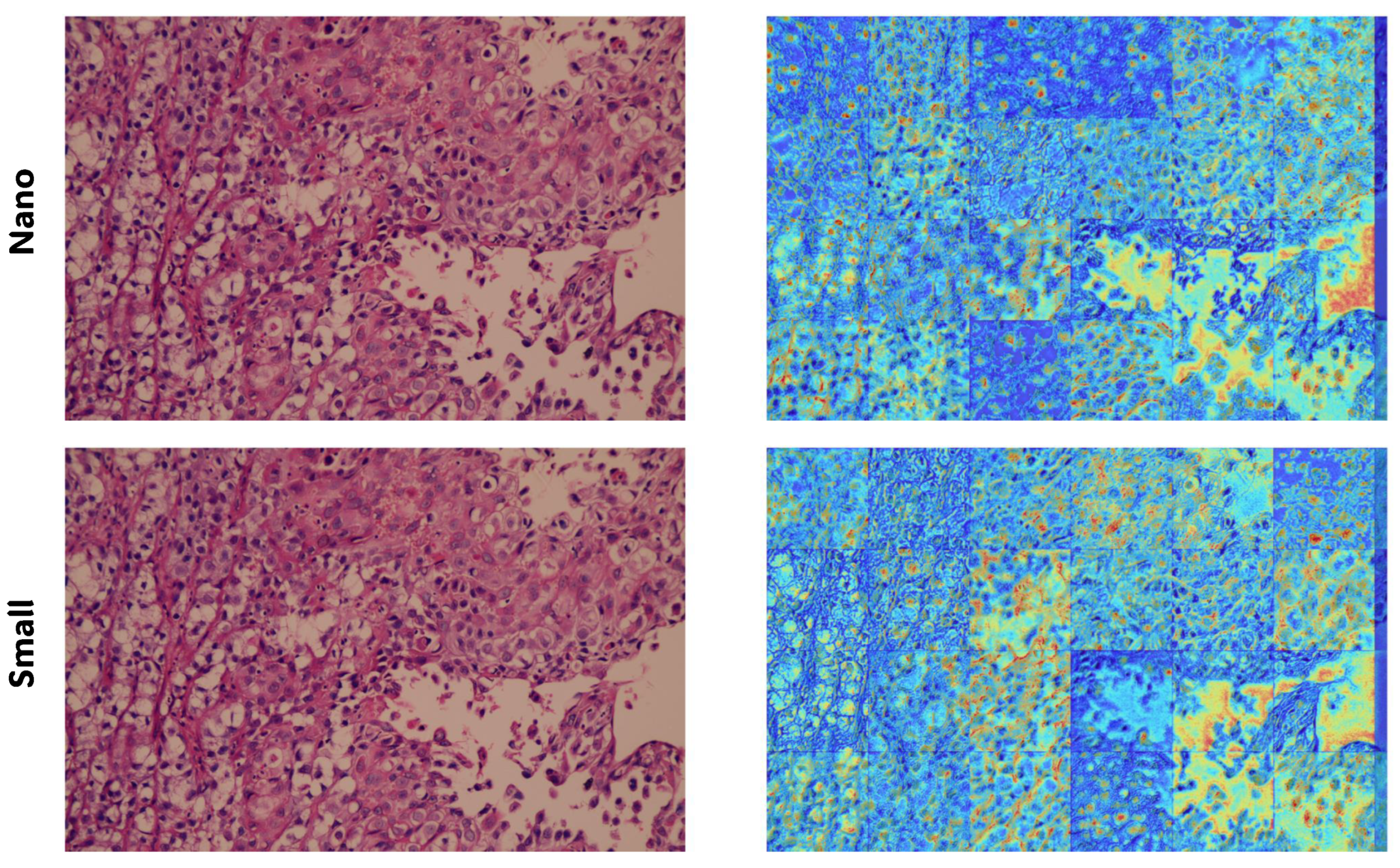Bioengineering 13 00004 g009