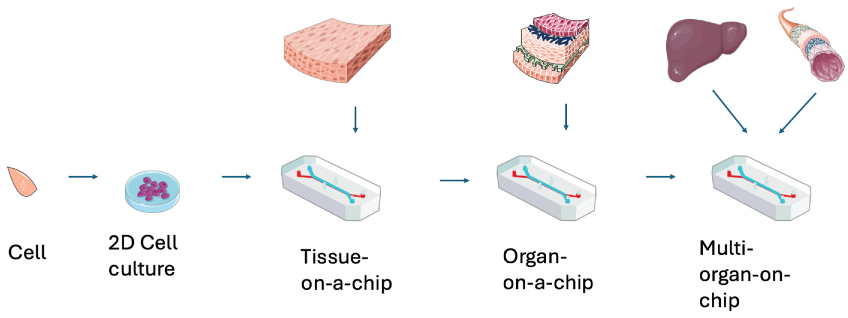 Bioengineering 13 00009 g001 Bioengineering 13 00009 g001