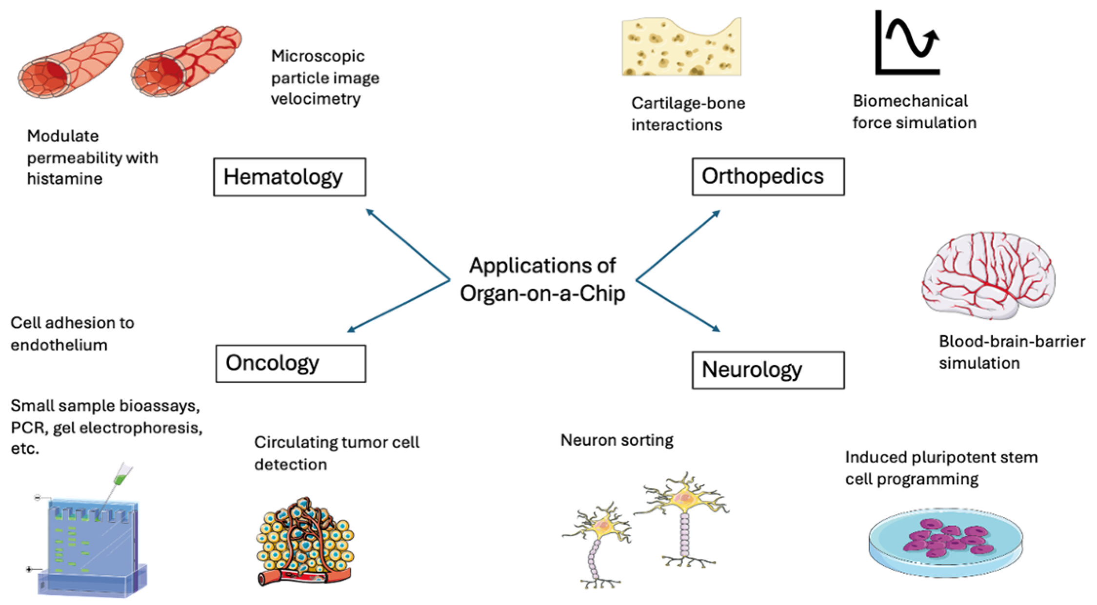 Bioengineering 13 00009 g002 Bioengineering 13 00009 g002
