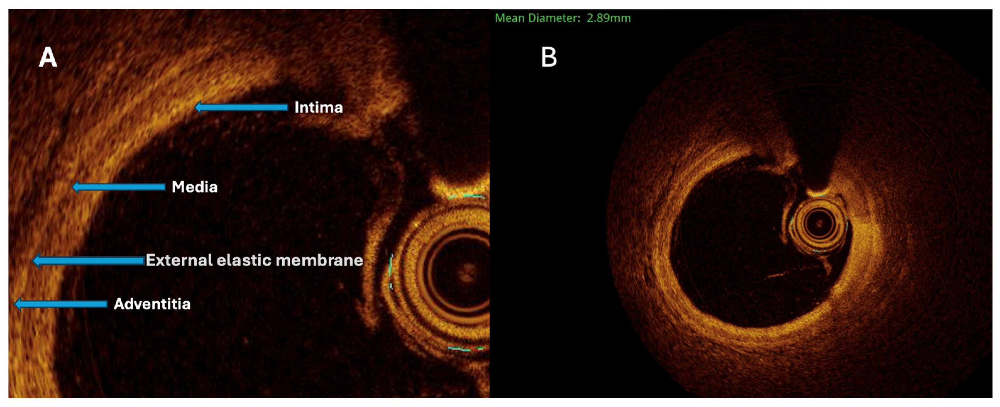 Bioengineering 13 00014 g003