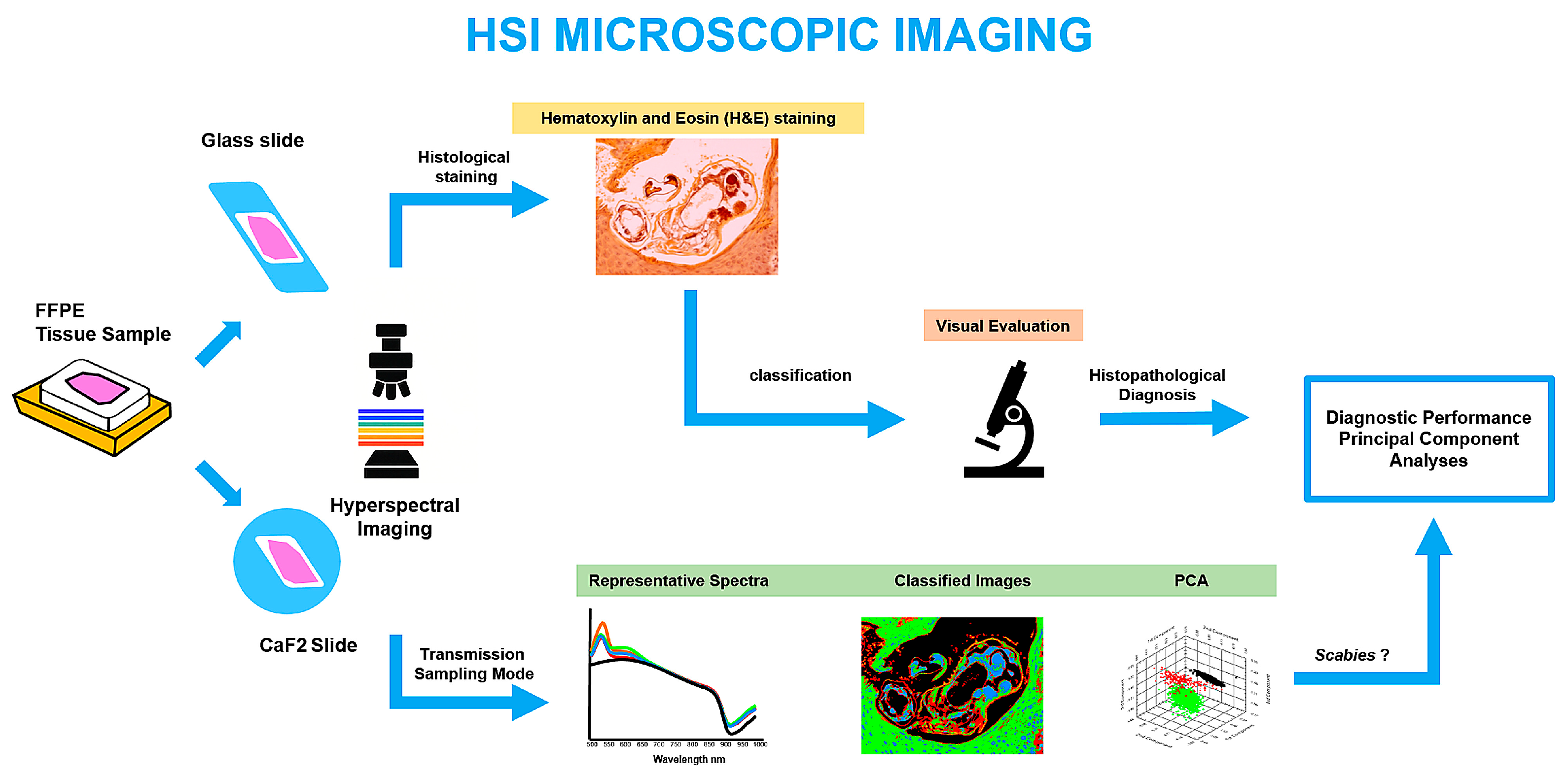 Bioengineering 13 00016 g002 Bioengineering 13 00016 g002