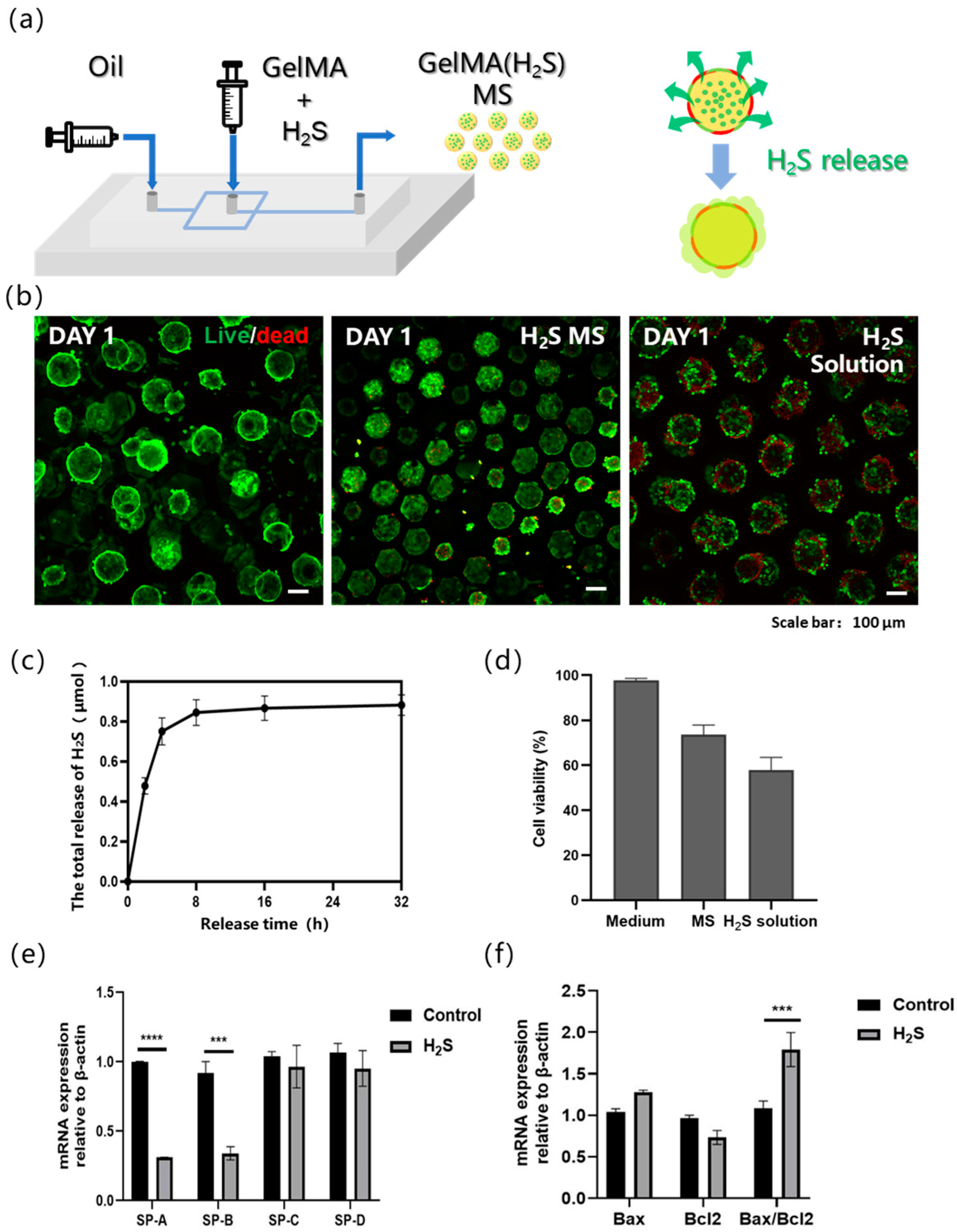 Bioengineering 13 00017 g003
