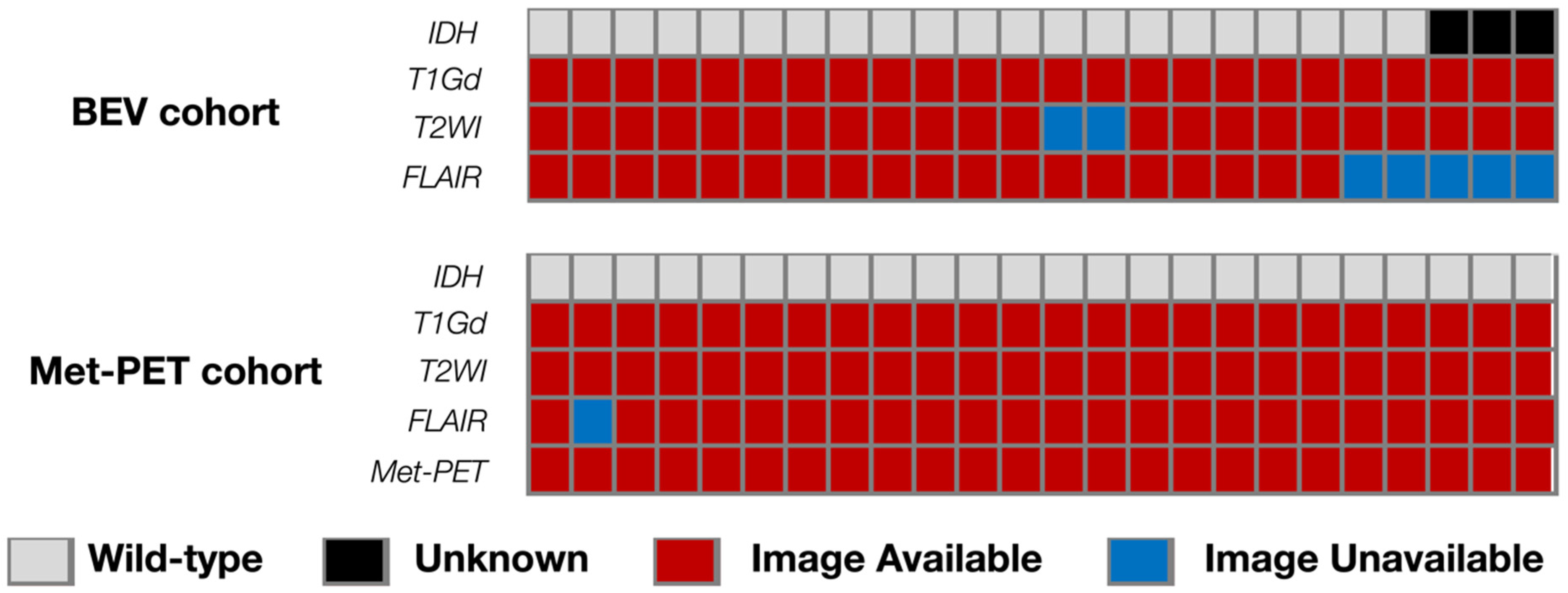 Bioengineering 13 00028 g001
