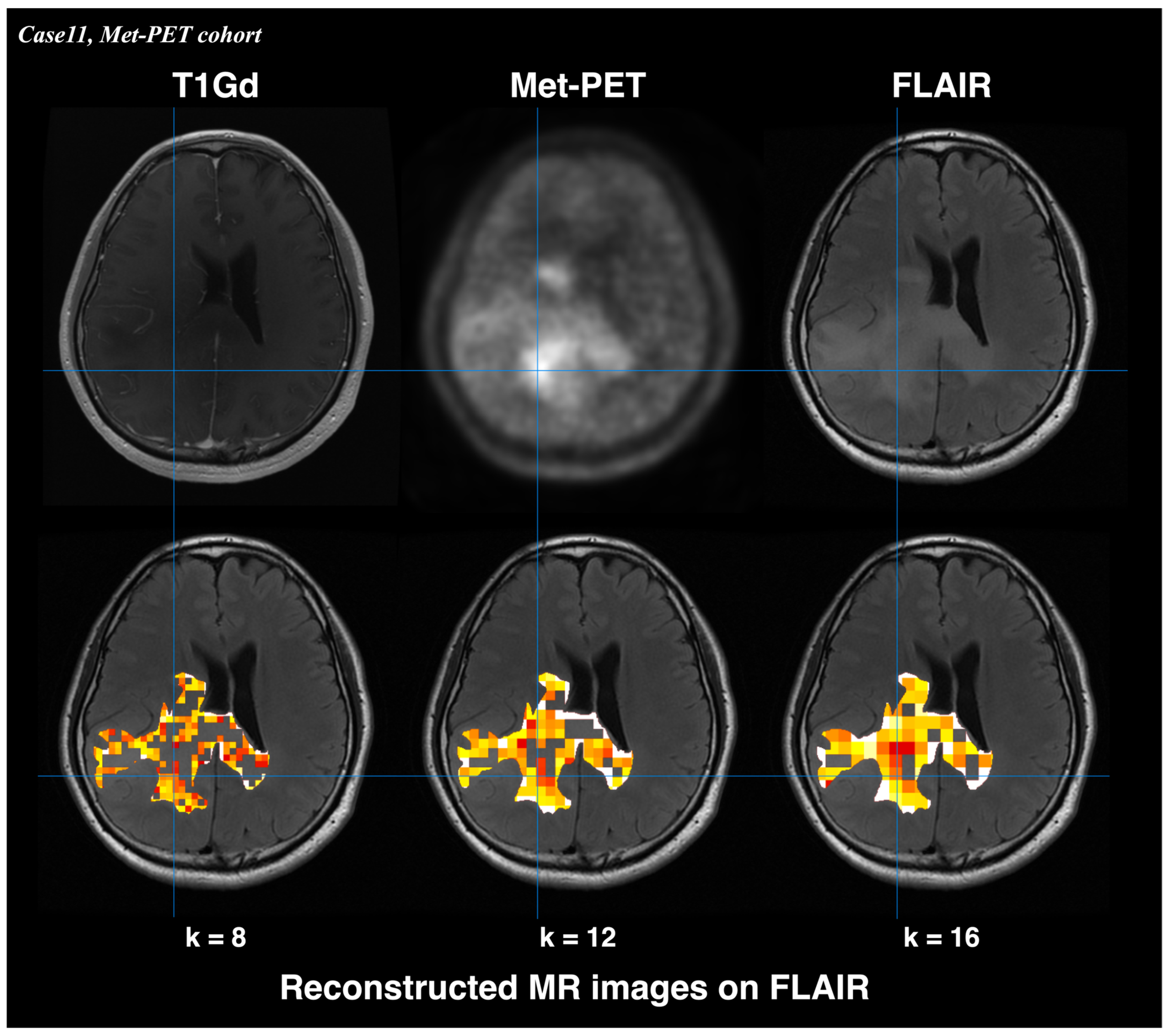 Bioengineering 13 00028 g005