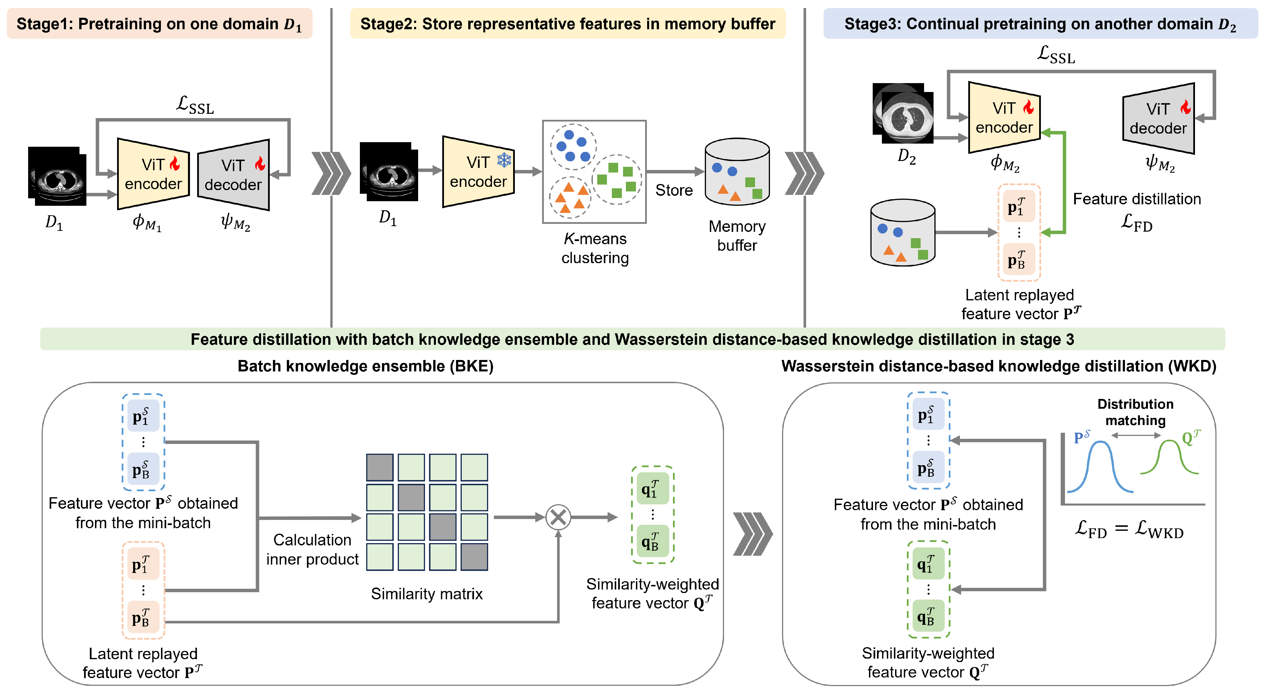 Bioengineering 13 00032 g001