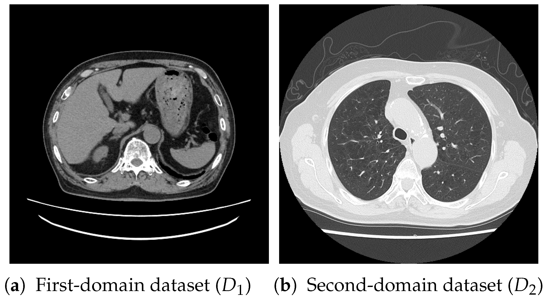 Bioengineering 13 00032 g002