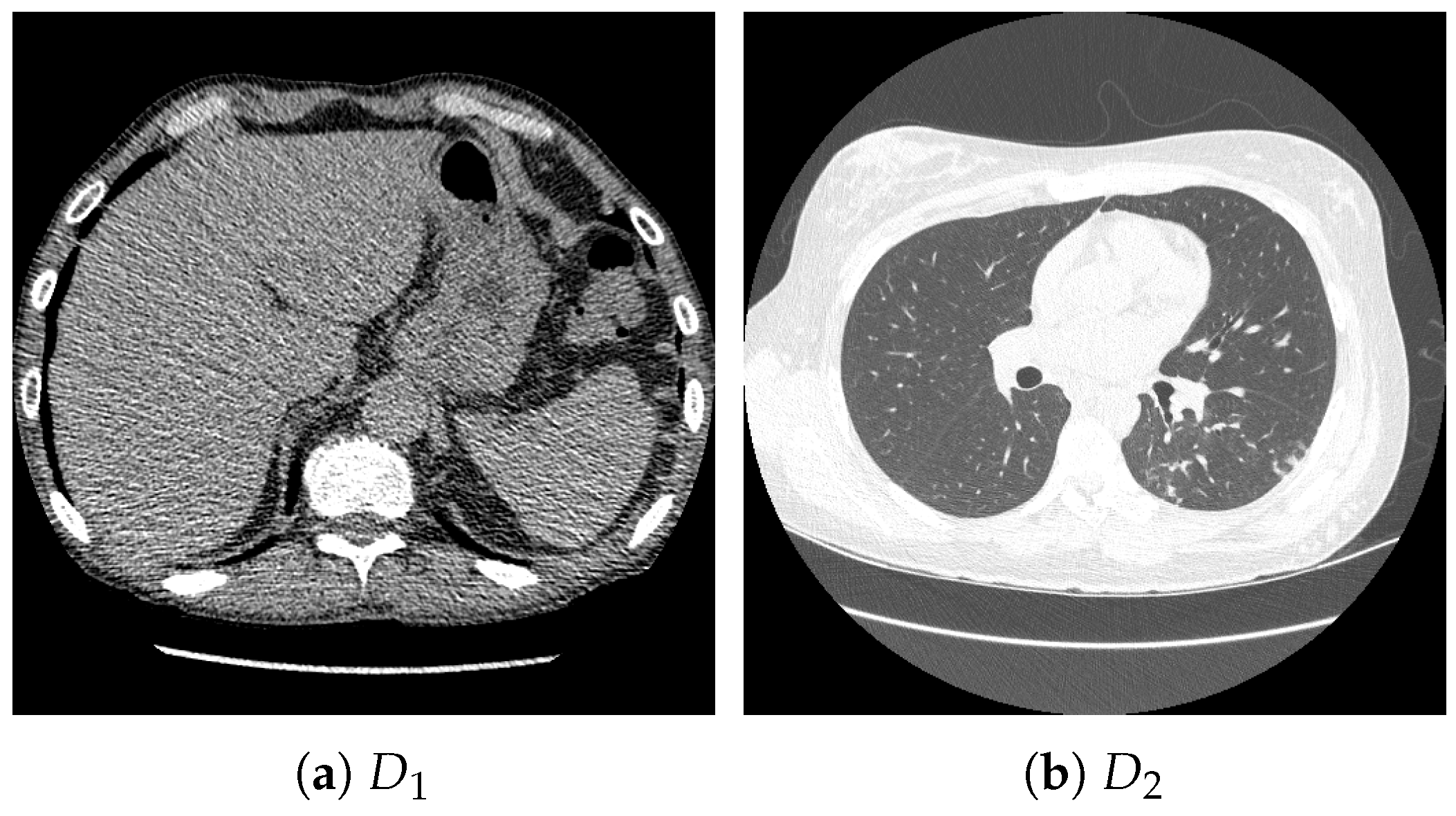 Bioengineering 13 00032 g003