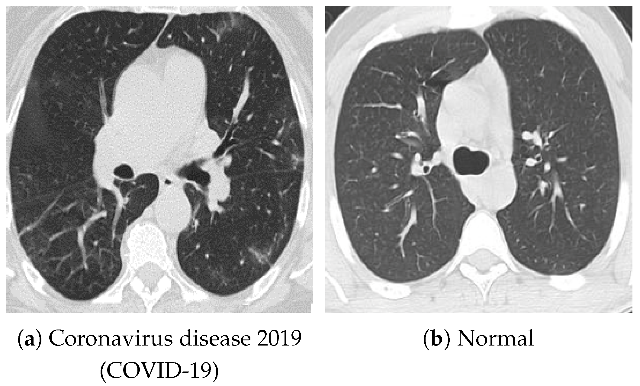 Bioengineering 13 00032 g004
