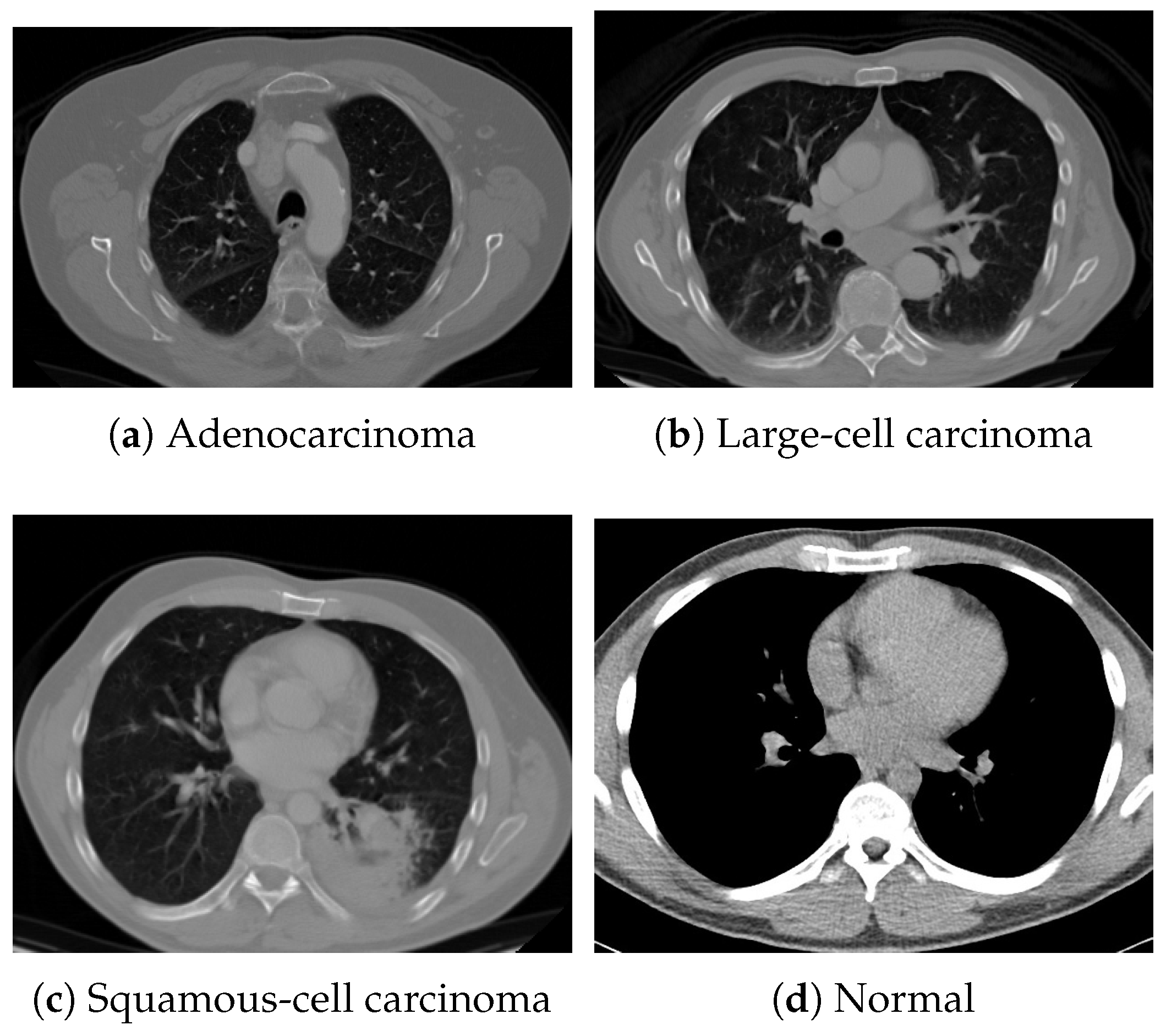 Bioengineering 13 00032 g005