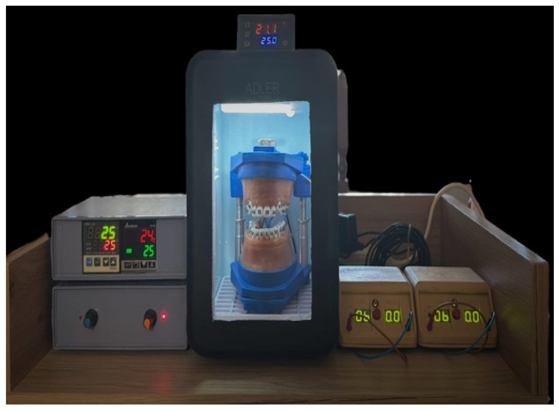 Bioengineering 13 00041 g001 Bioengineering 13 00041 g001