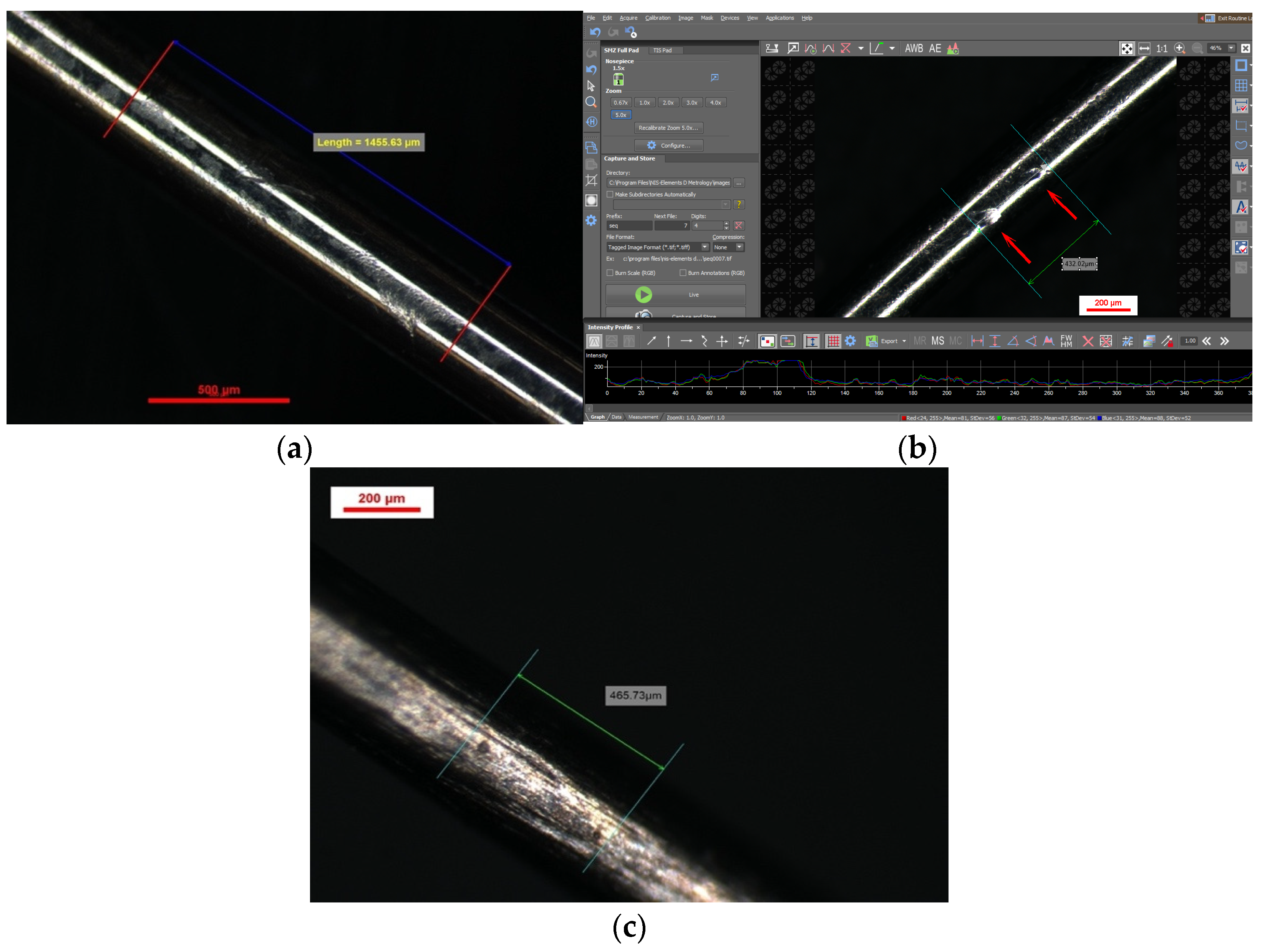 Bioengineering 13 00041 g004 Bioengineering 13 00041 g004