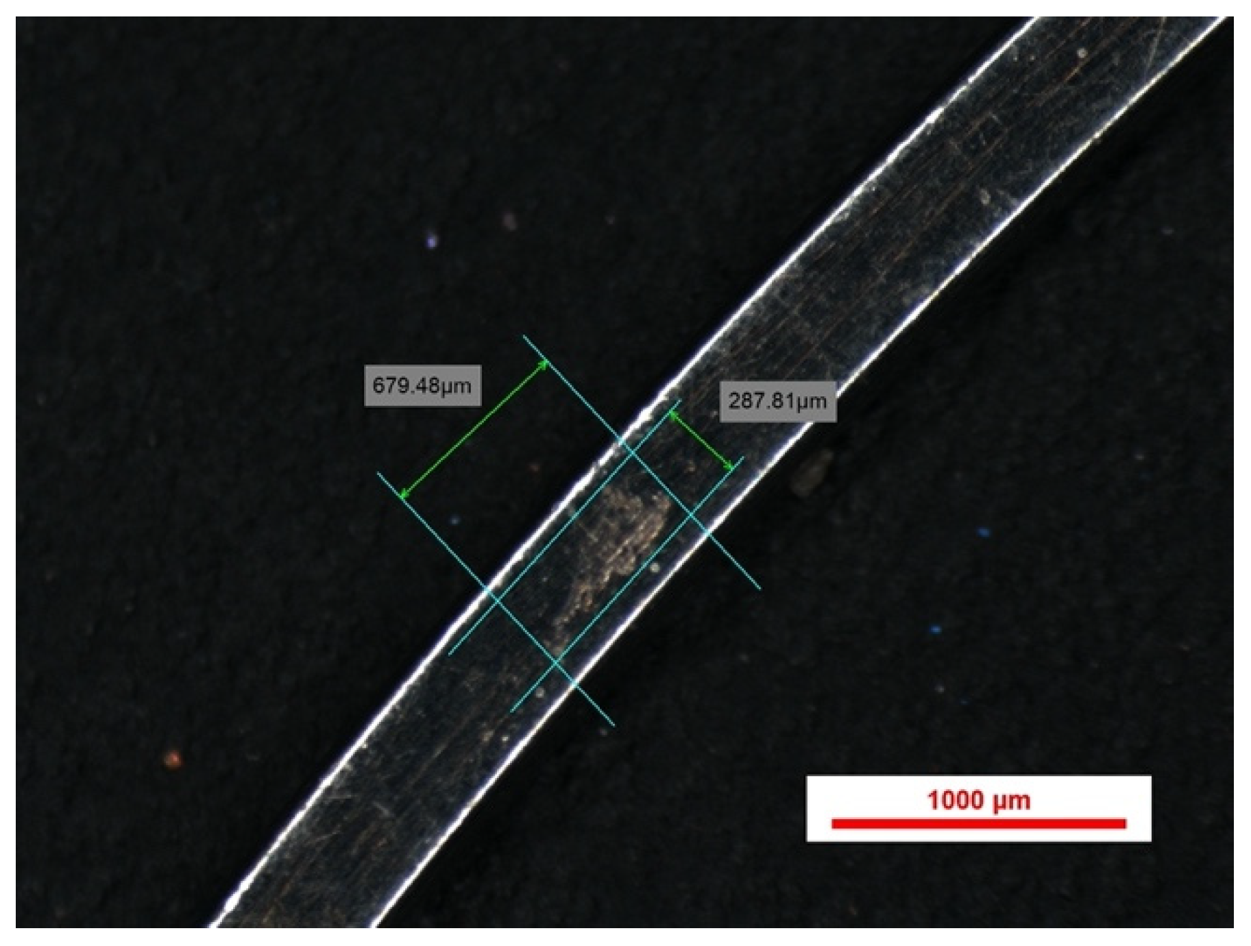 Bioengineering 13 00041 g006 Bioengineering 13 00041 g006