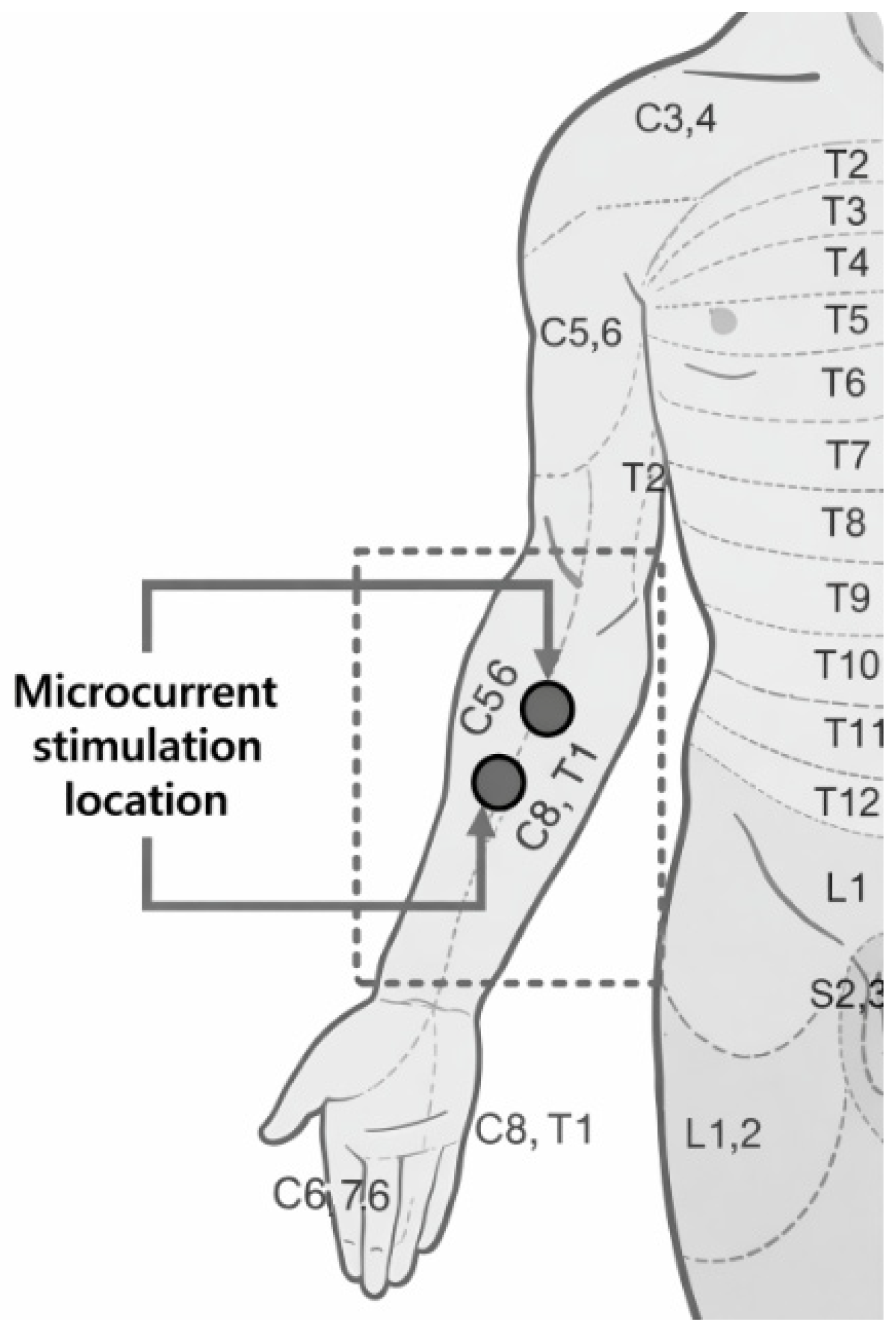 Bioengineering 13 00052 g001 Bioengineering 13 00052 g001