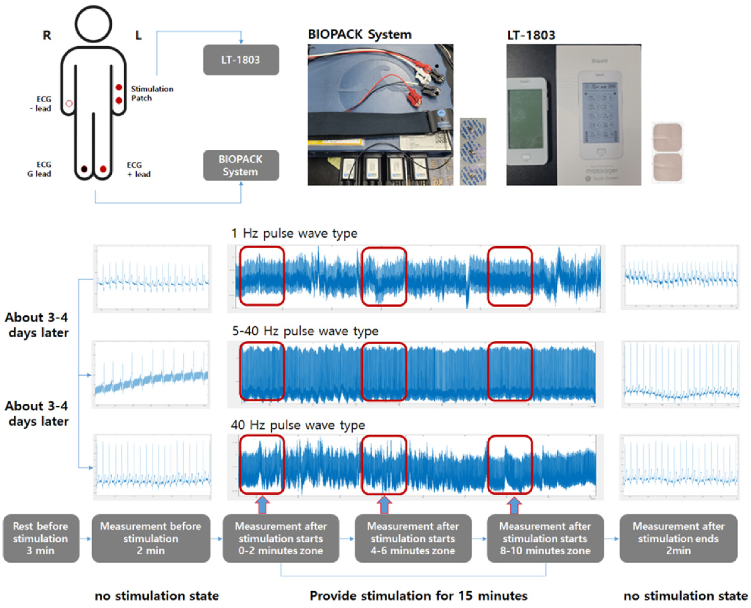 Bioengineering 13 00052 g003 Bioengineering 13 00052 g003