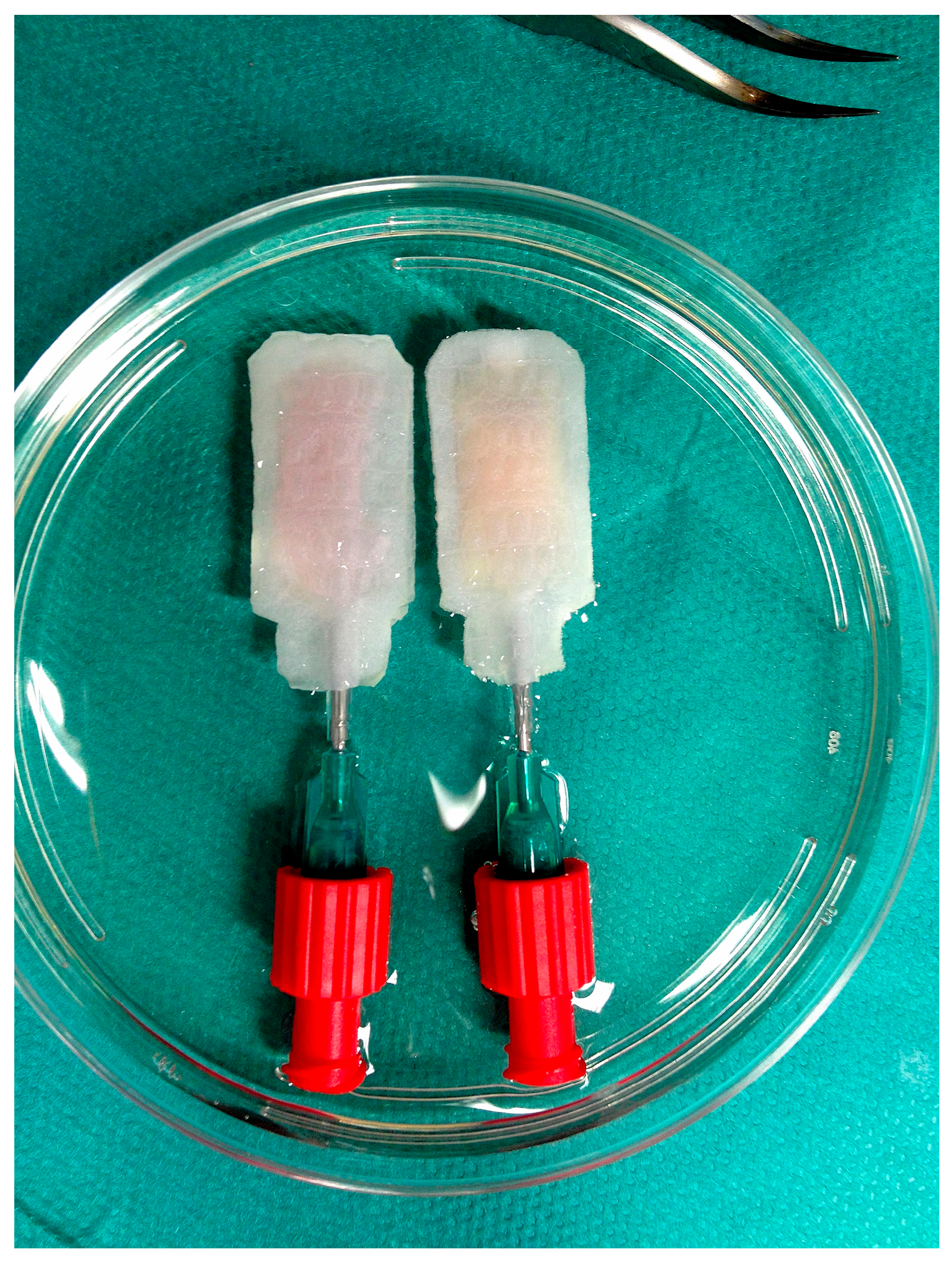 Bioengineering 13 00056 g001