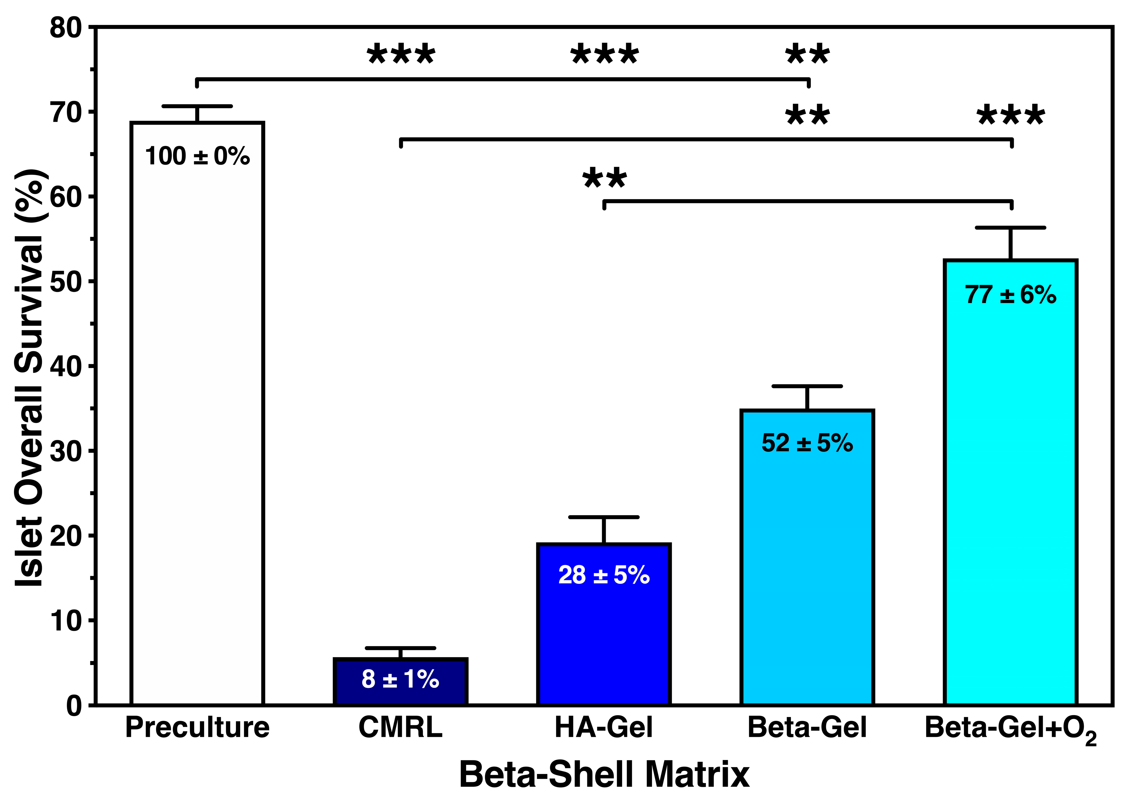 Bioengineering 13 00056 g007