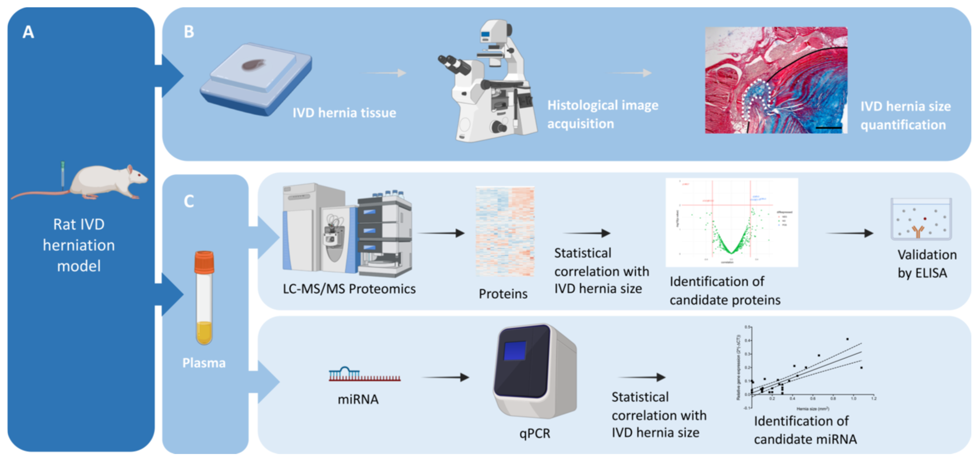 Bioengineering 13 00074 g001 Bioengineering 13 00074 g001