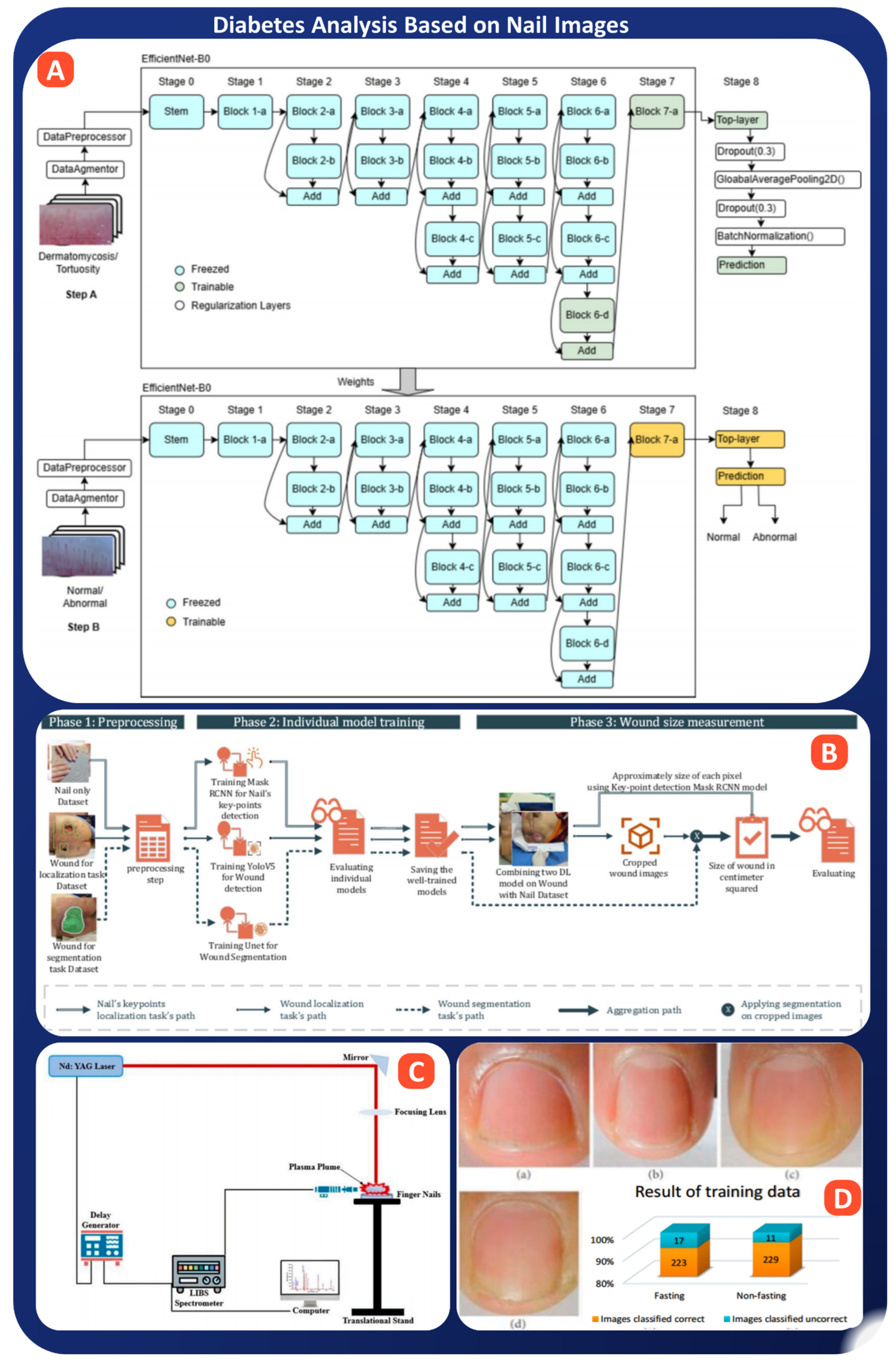 Bioengineering 13 00075 g006 Bioengineering 13 00075 g006