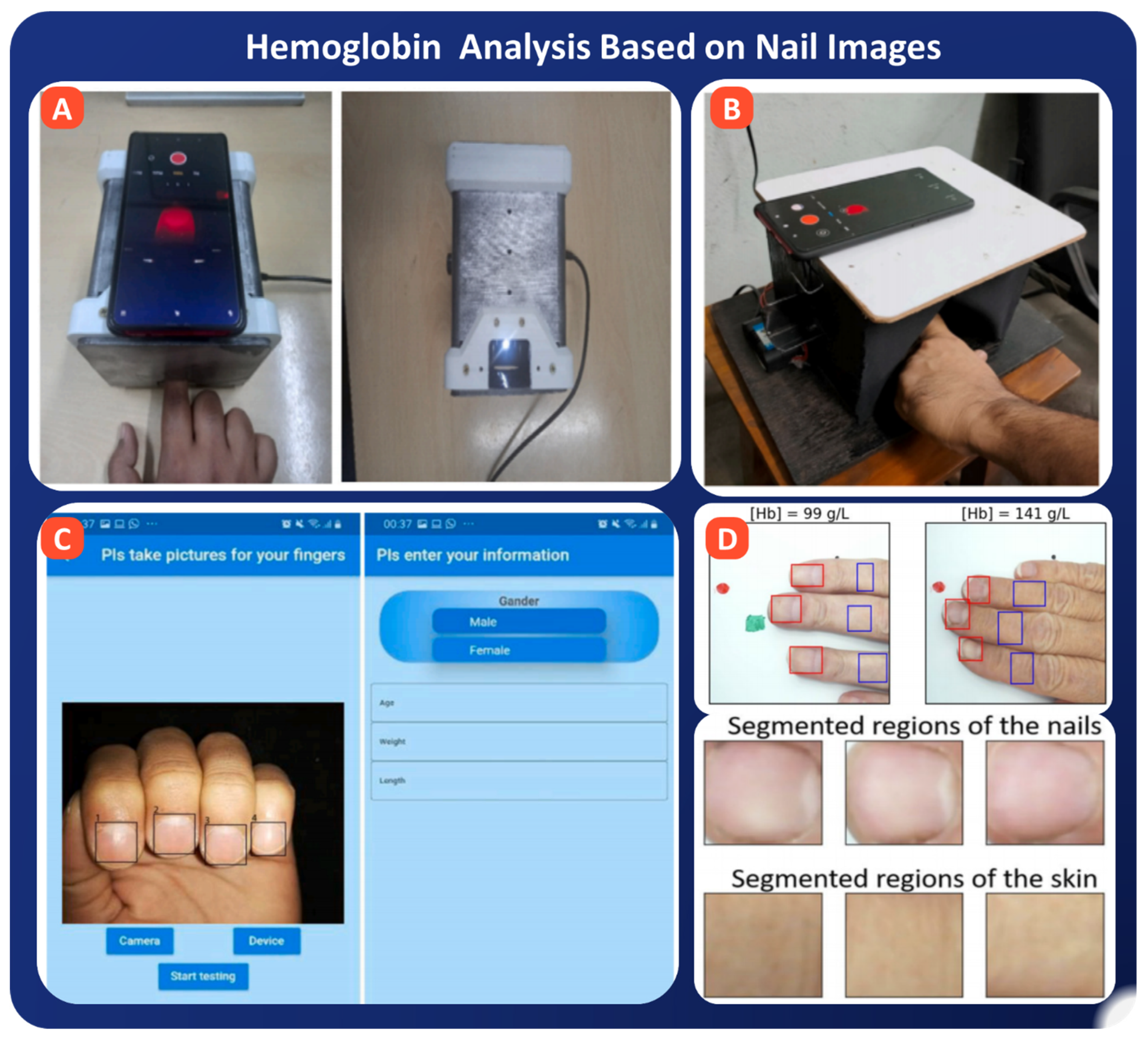 Bioengineering 13 00075 g007 Bioengineering 13 00075 g007