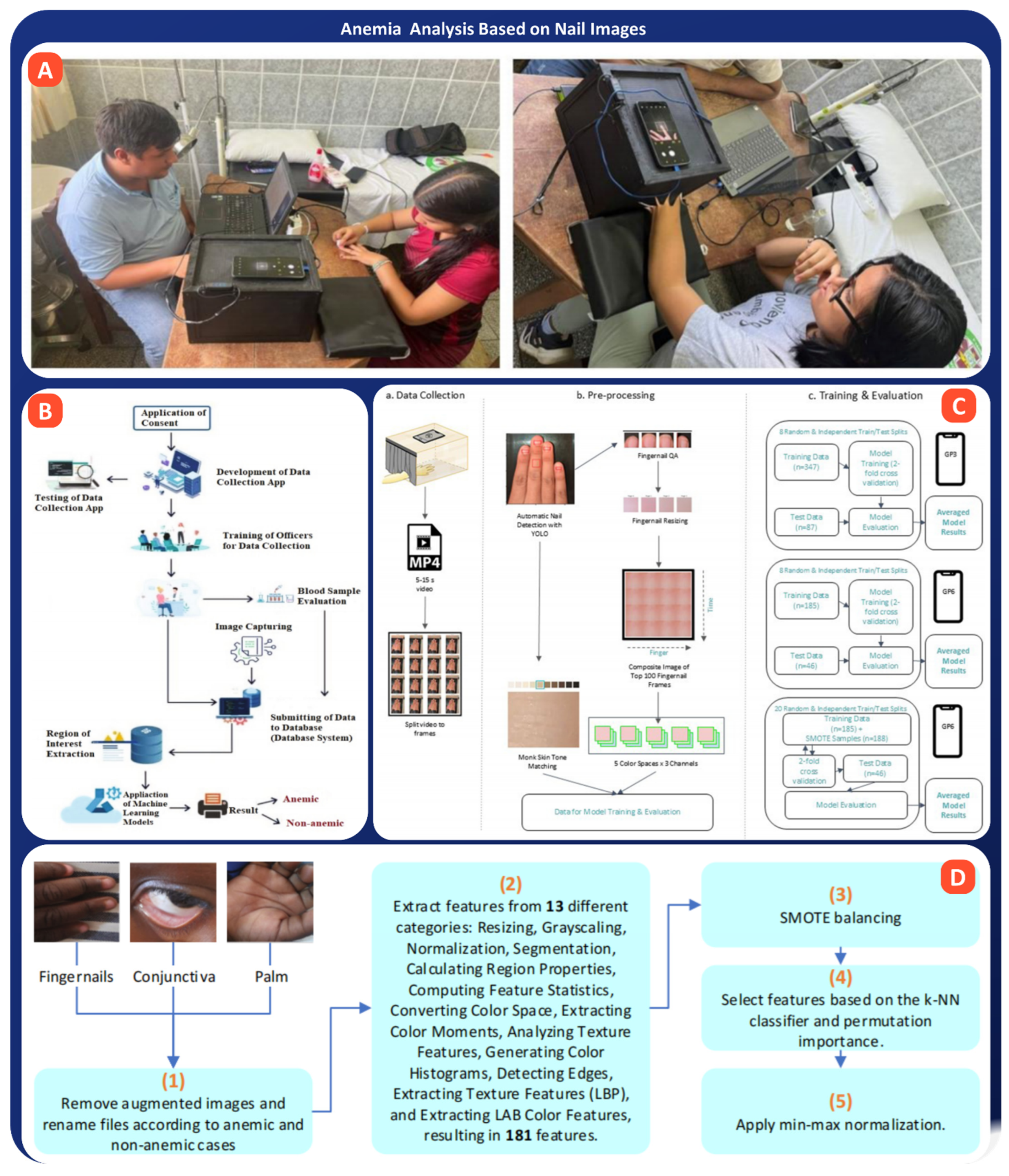 Bioengineering 13 00075 g009 Bioengineering 13 00075 g009