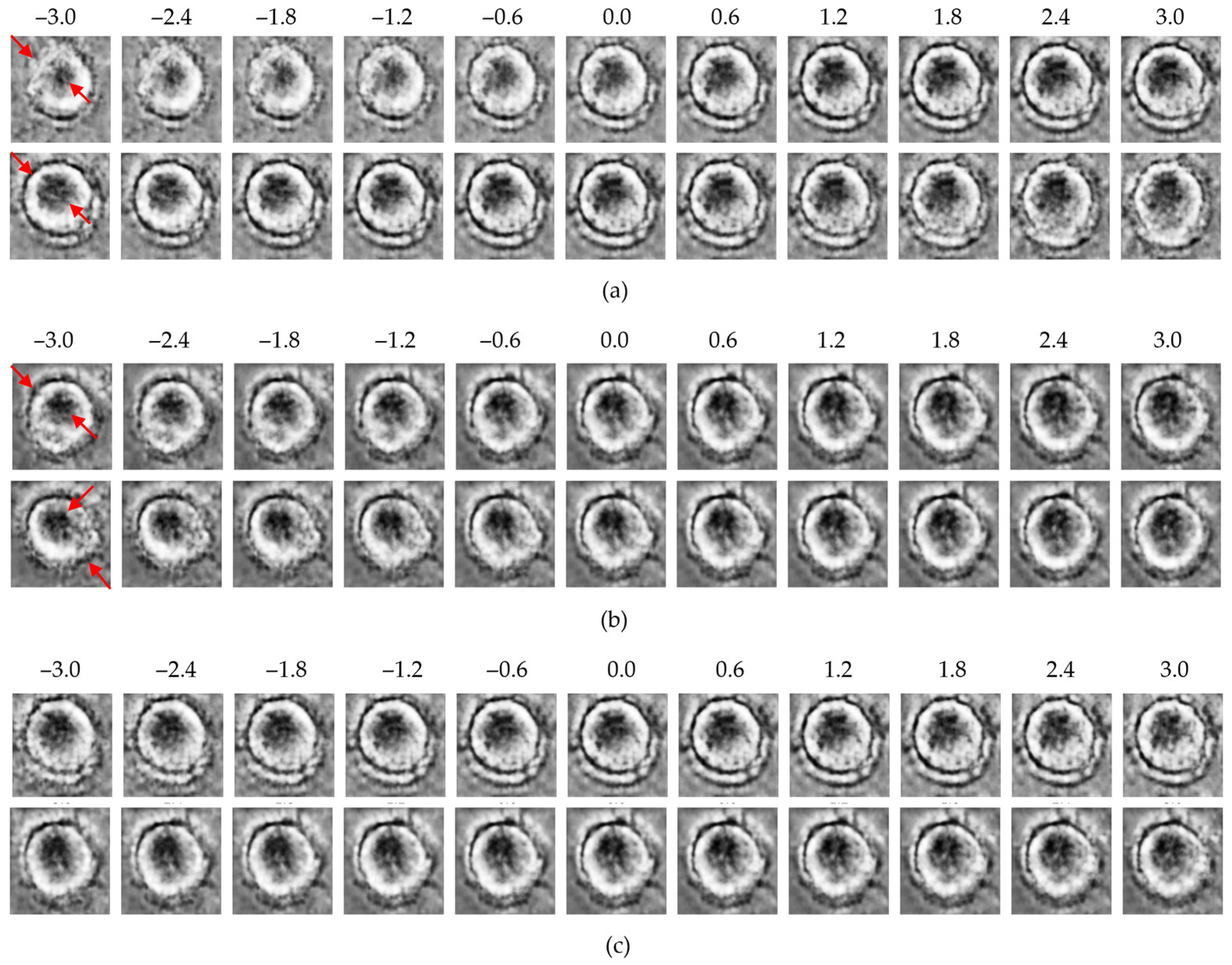 Bioengineering 13 00076 g006