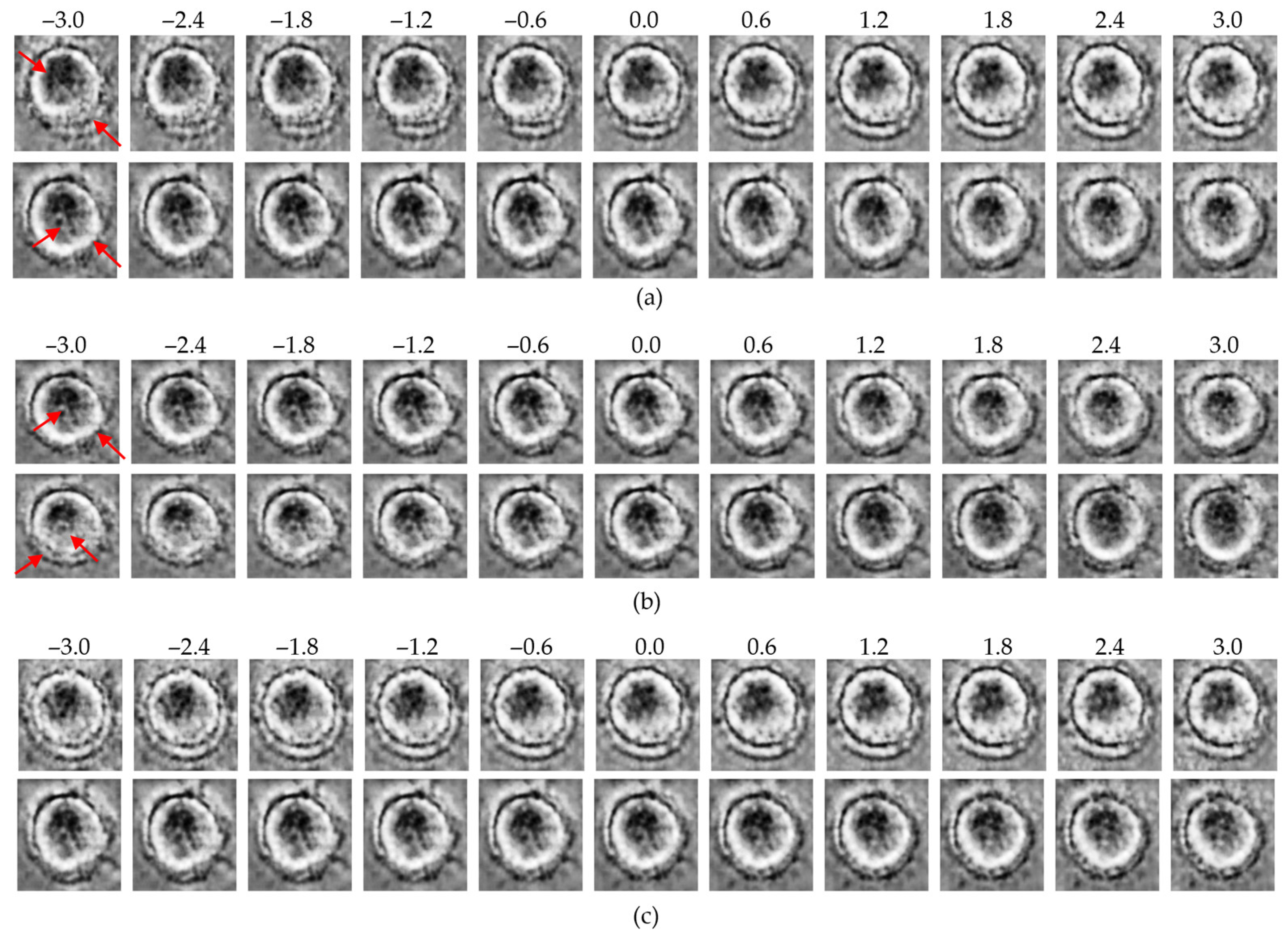 Bioengineering 13 00076 g008