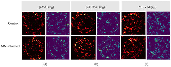 Bioengineering 13 00076 g0a1