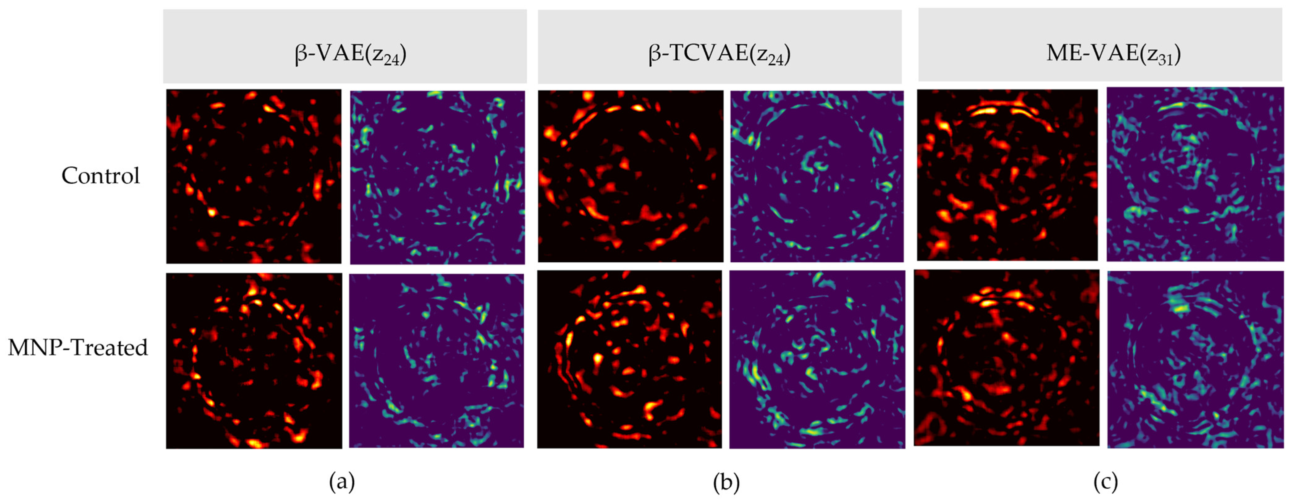 Bioengineering 13 00076 g0a1