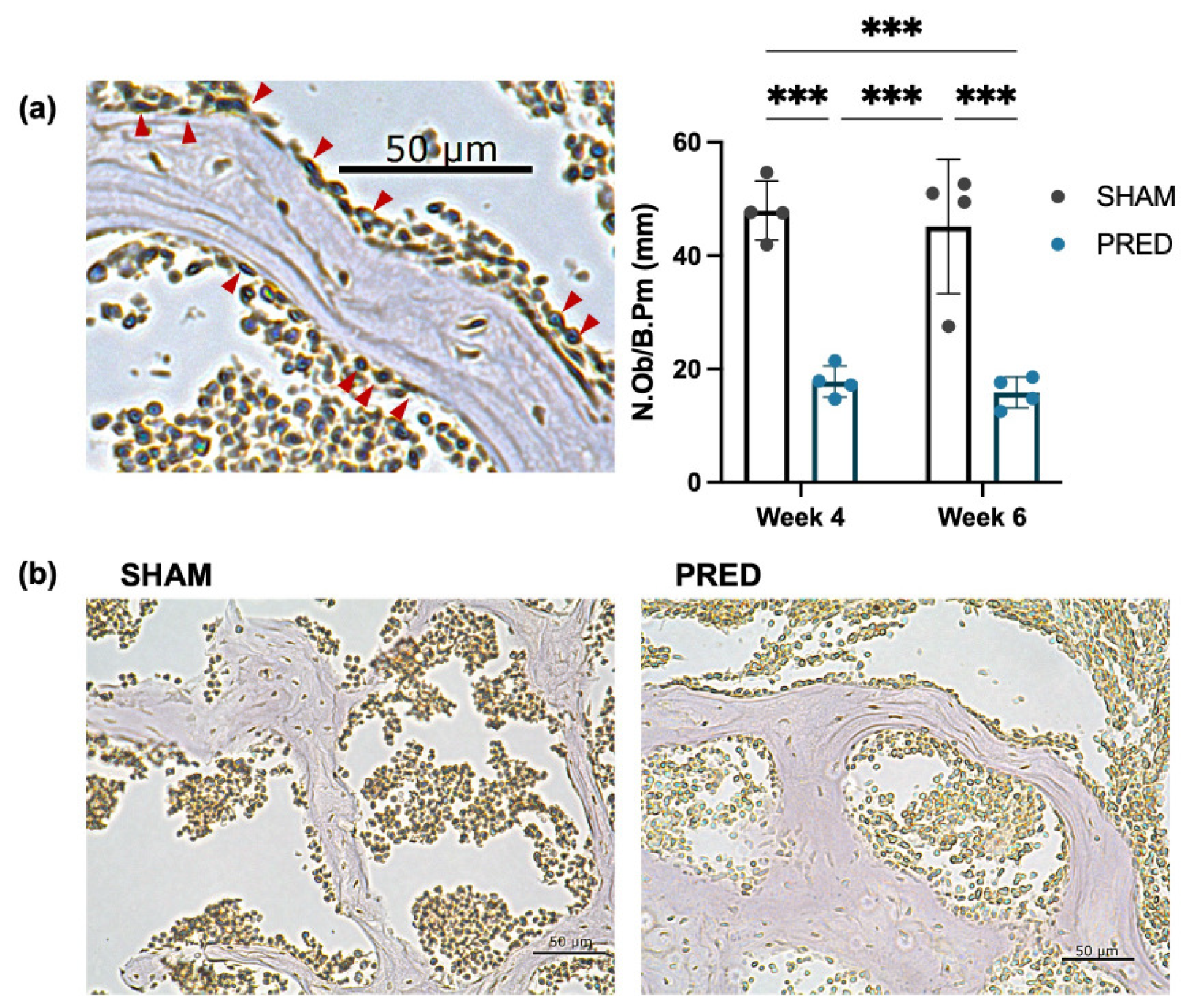 Bioengineering 13 00116 g003