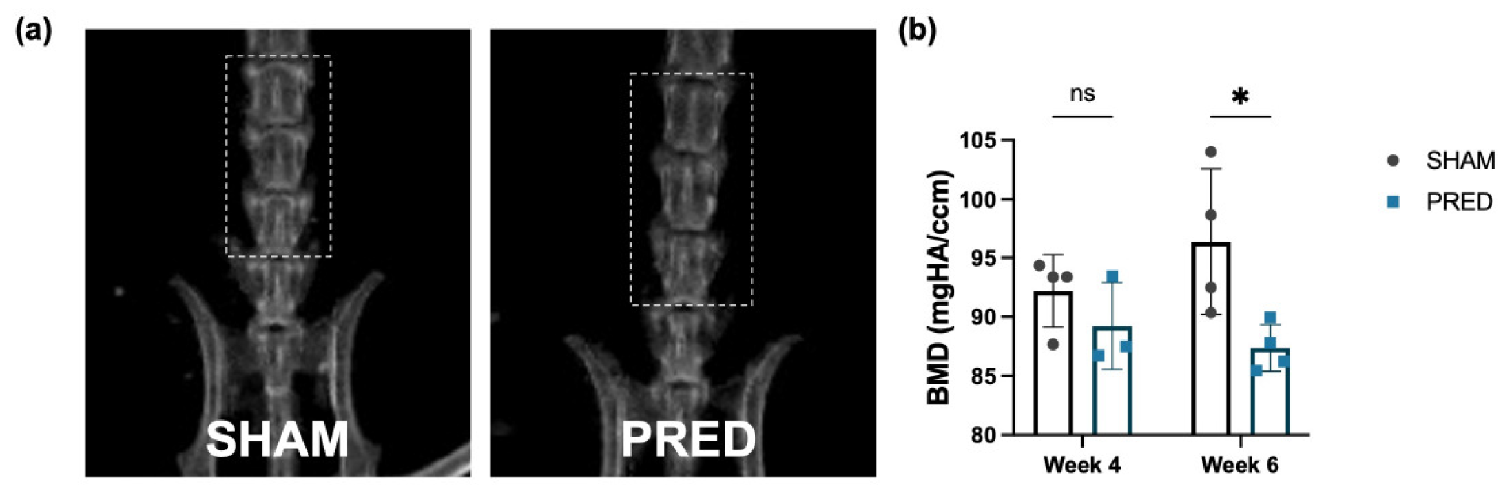 Bioengineering 13 00116 g006