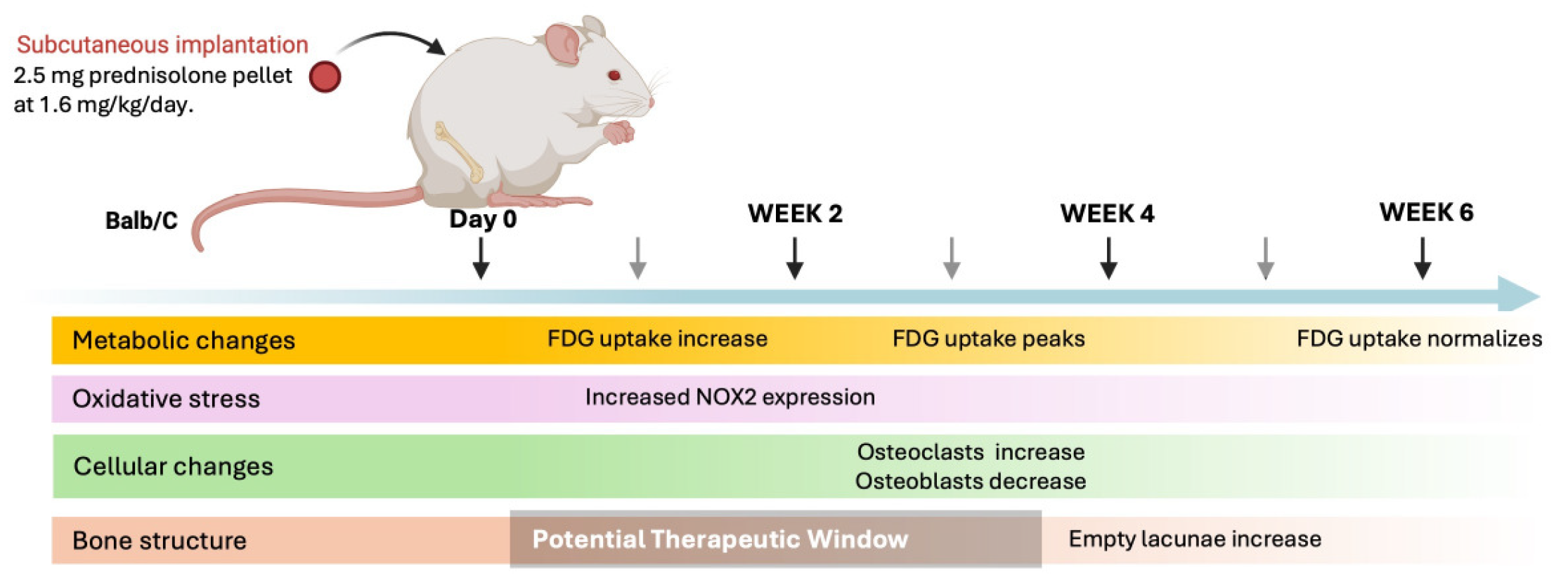 Bioengineering 13 00116 g007