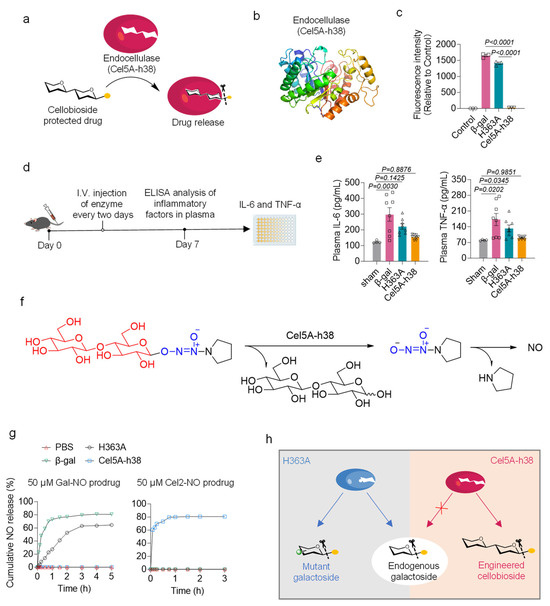 Bioengineering 13 00128 g001
