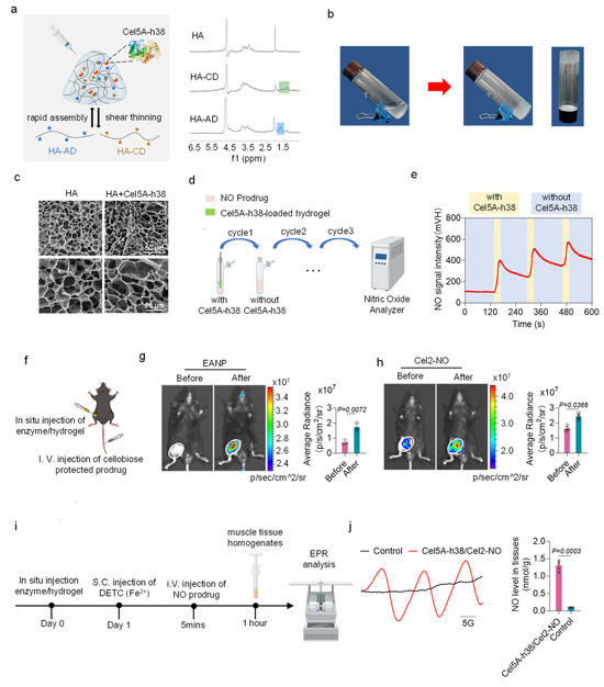 Bioengineering 13 00128 g002