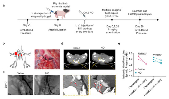 Bioengineering 13 00128 g003