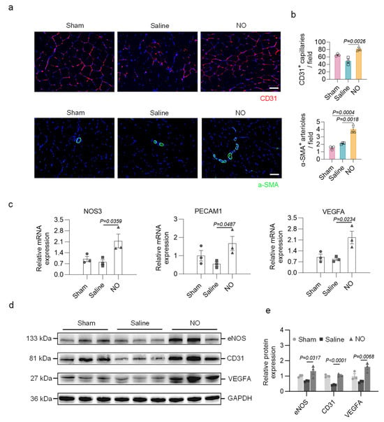 Bioengineering 13 00128 g004