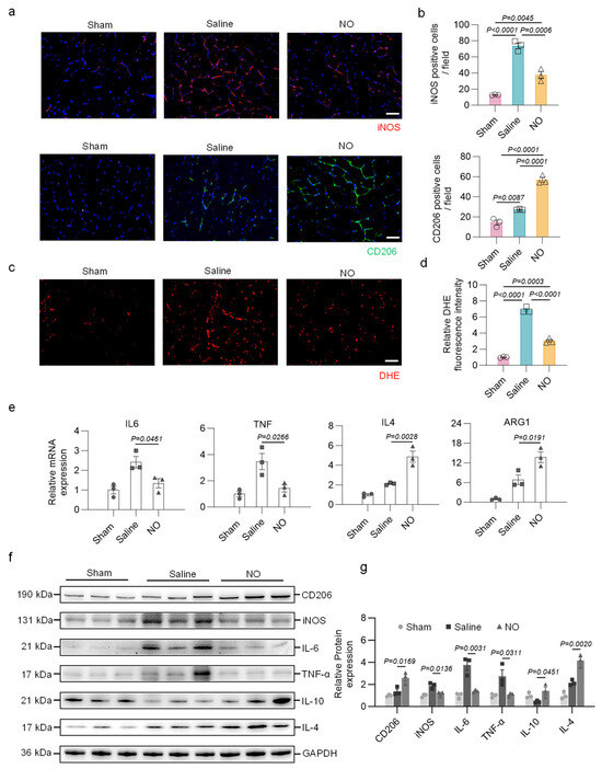 Bioengineering 13 00128 g005